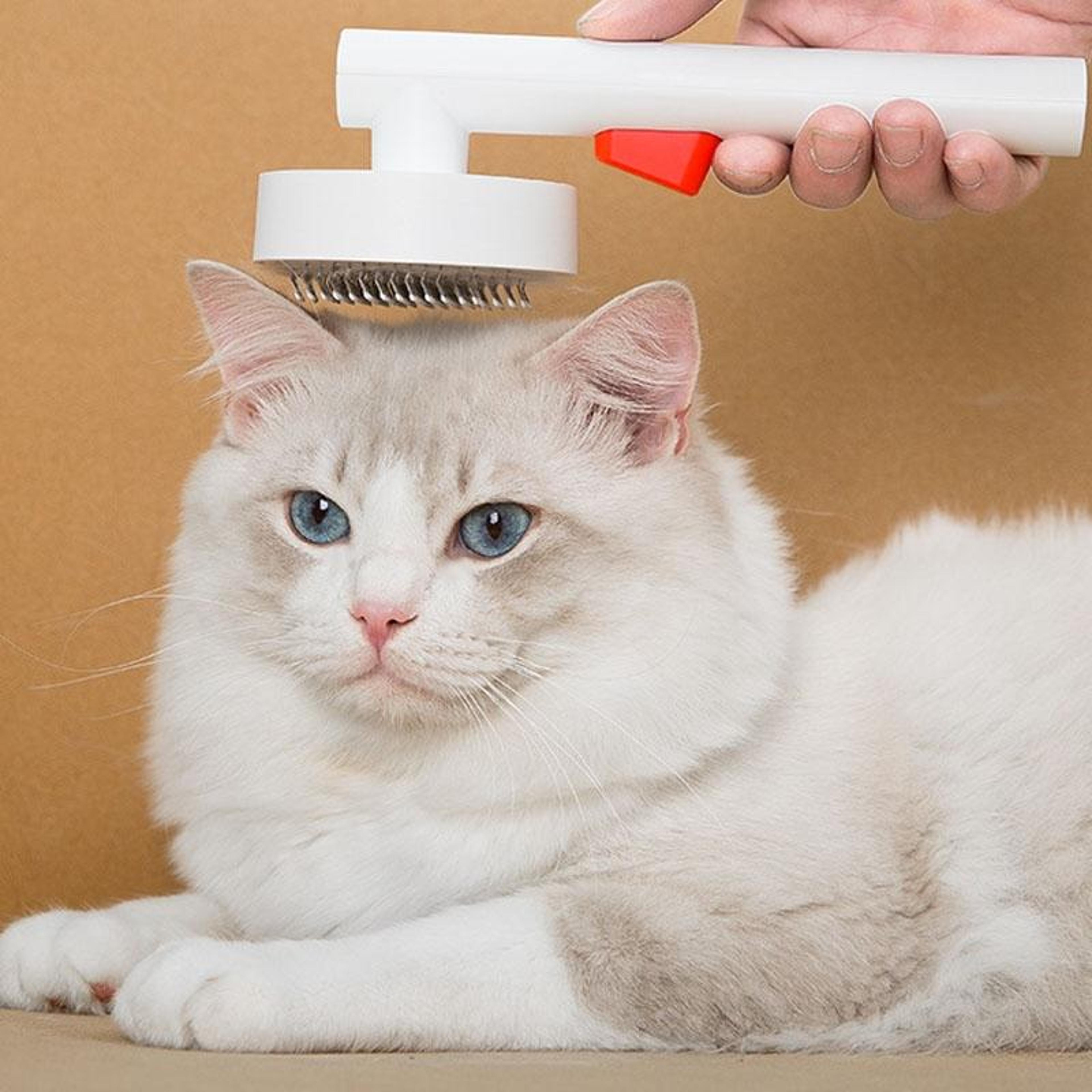 self-cleaning pet grooming brush for cats & dogs, deshedding tool with gentle slicker brush