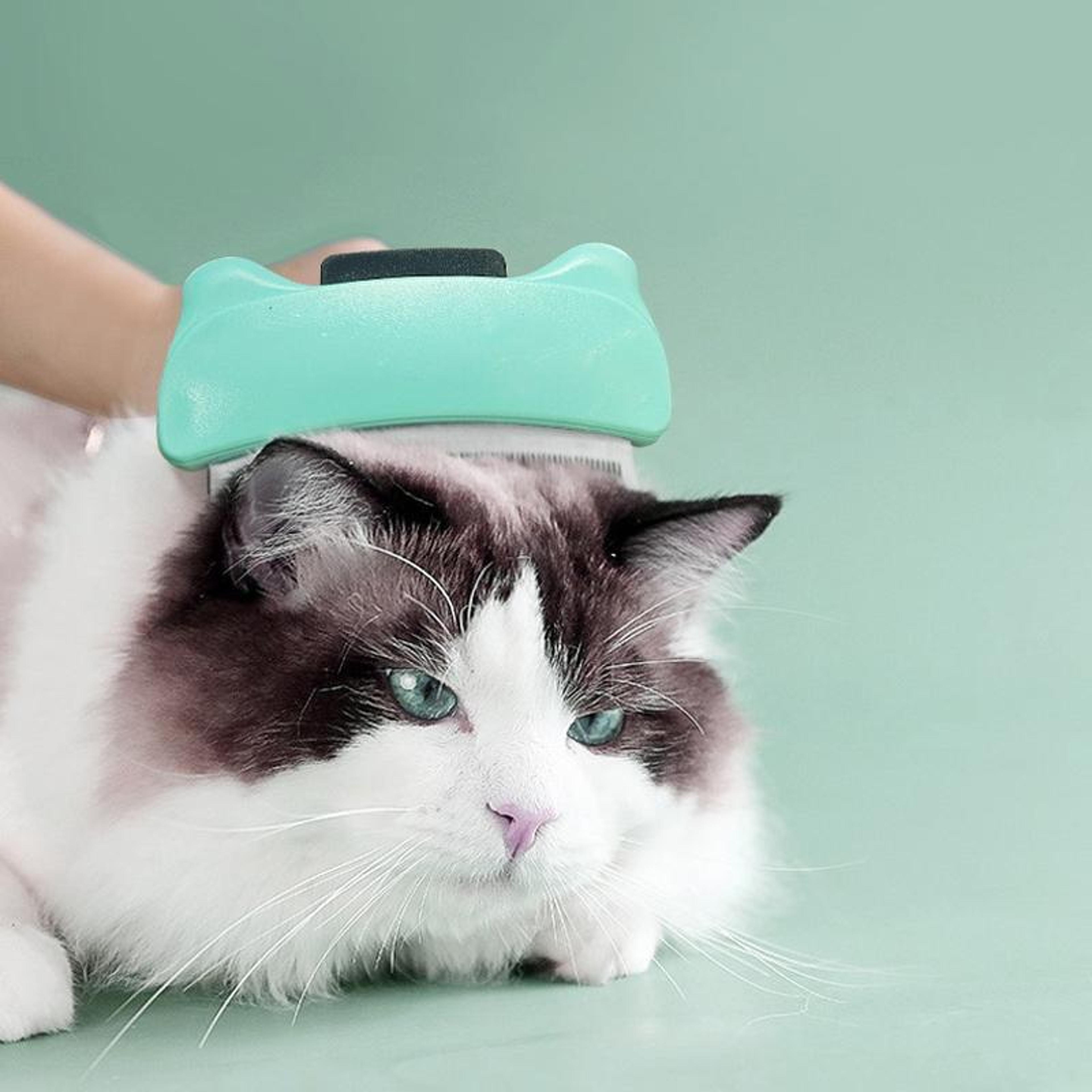 self-cleaning pet grooming brush for cats & dogs deshedding comb