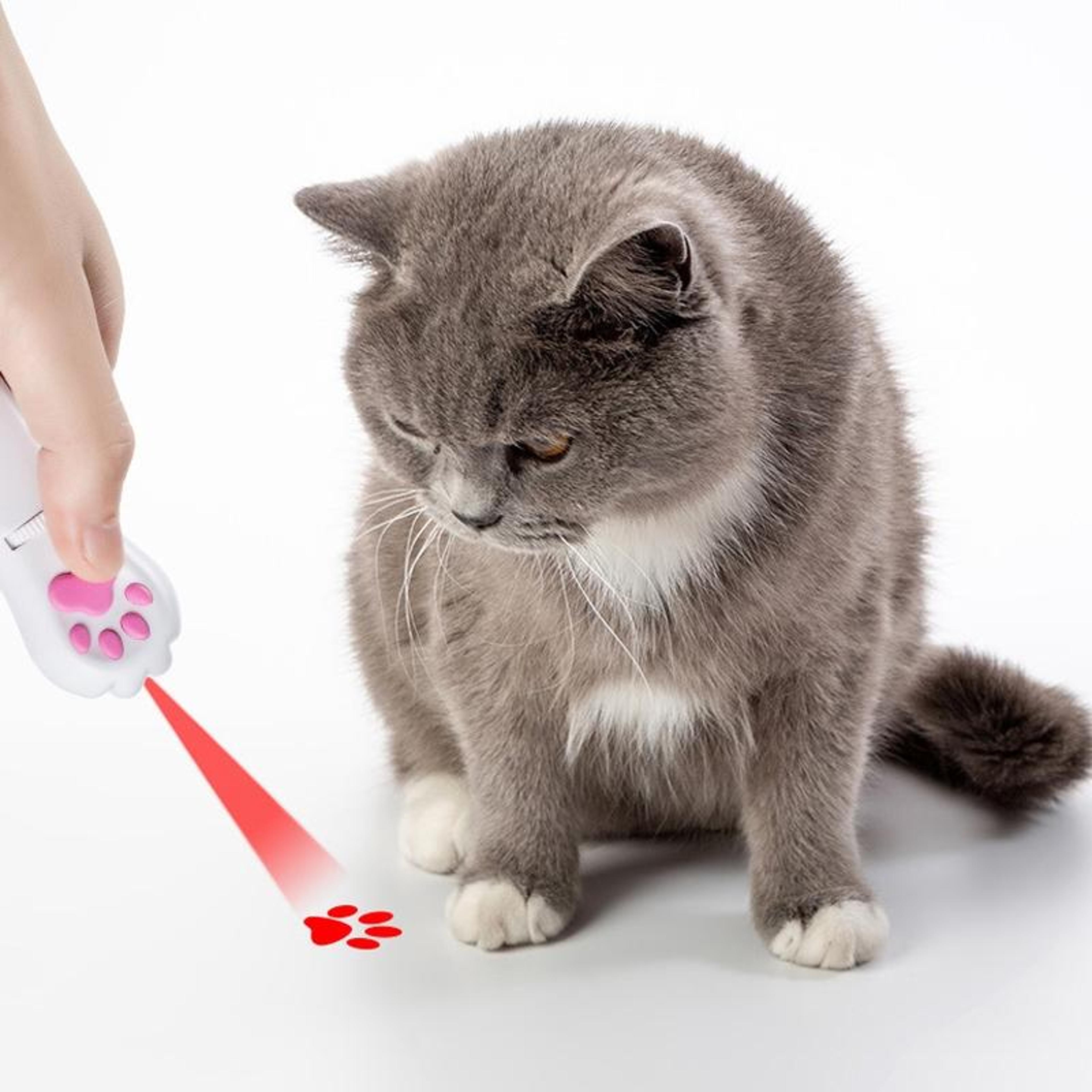 smart led cat laser toy projector usb rechargeable interactive cat toy