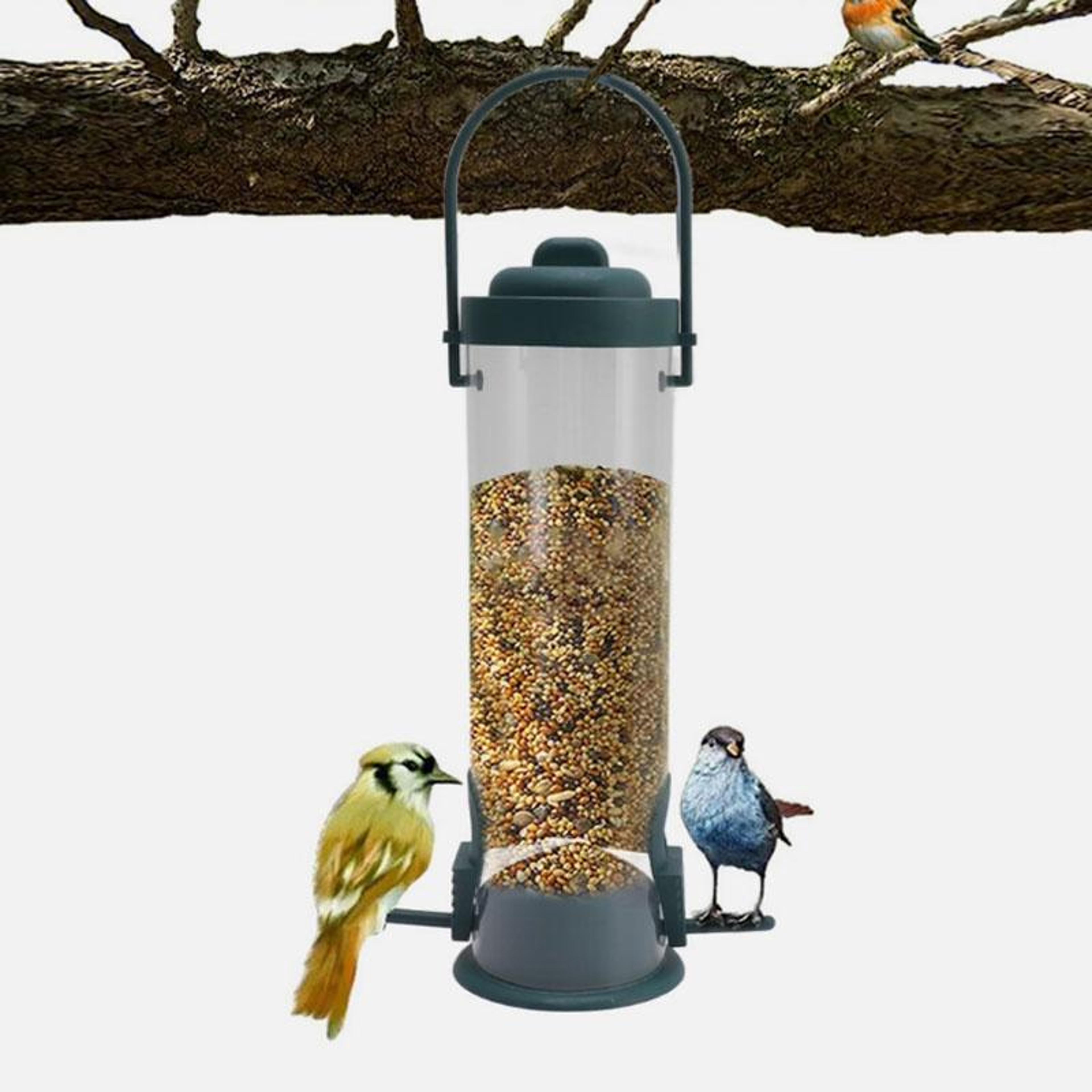 transparent hanging bird feeder squirrel proof outdoor automatic feeding station