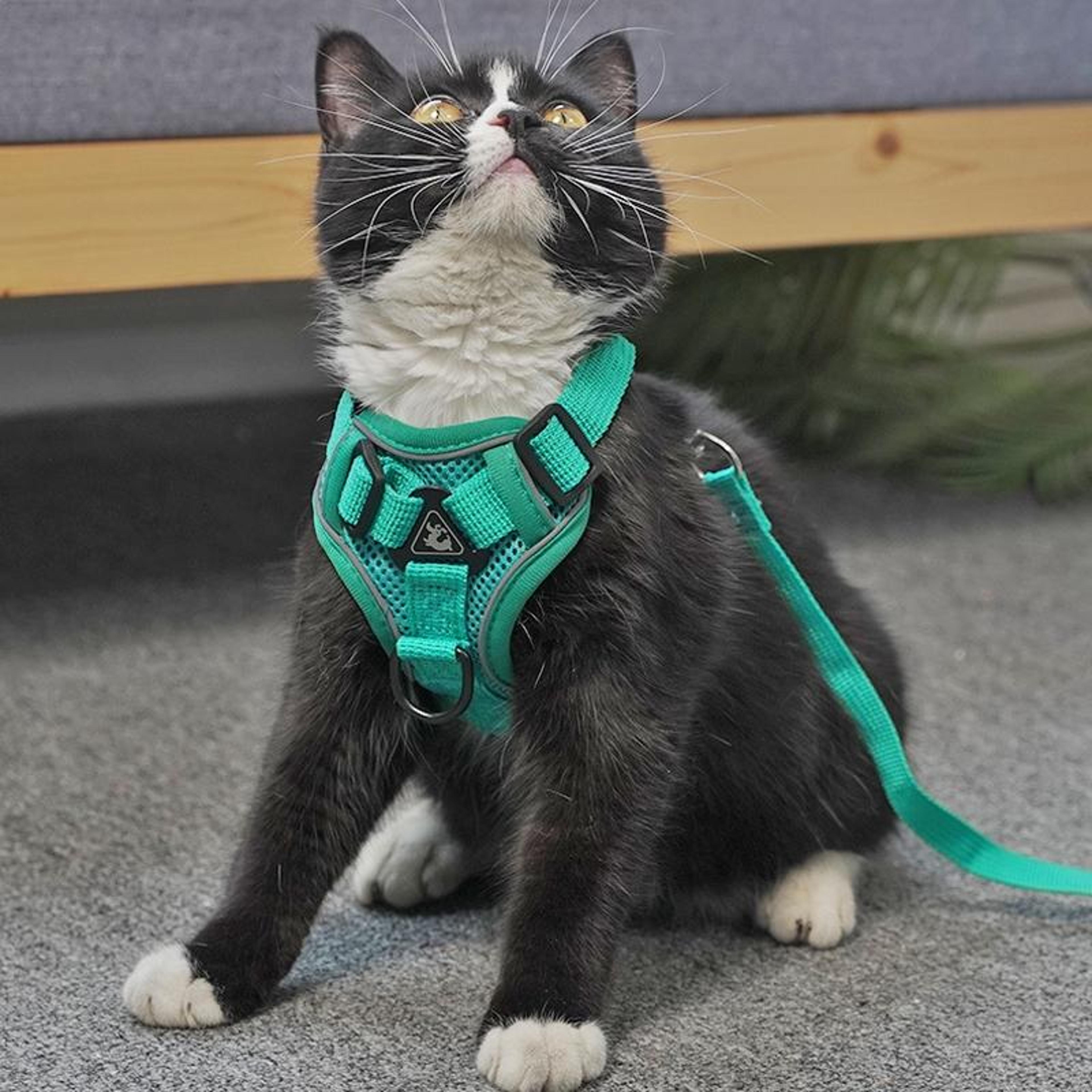 reflective breathable dog cat harness set with leash adjustable no-pull pet vest