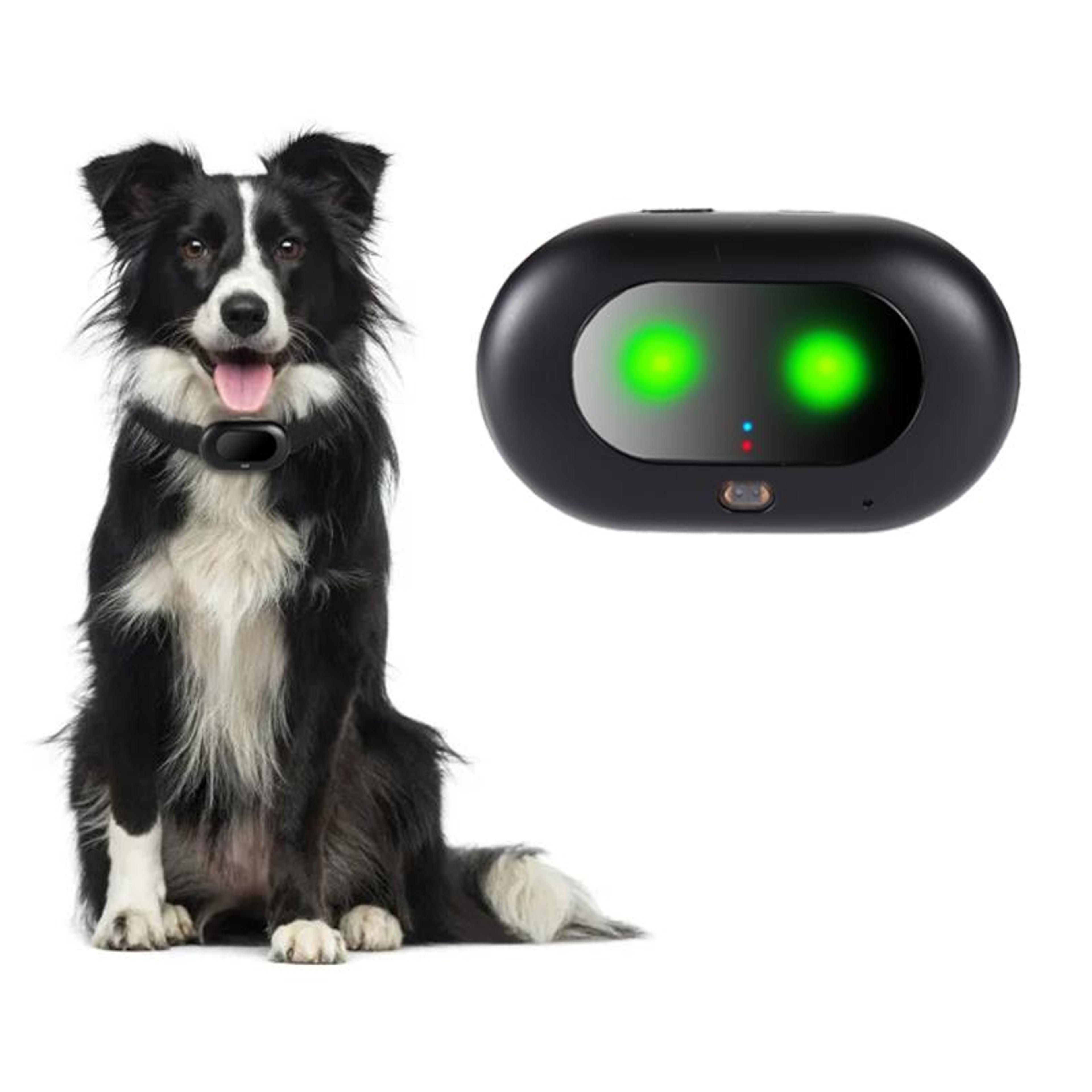 smart gps pet tracker collar waterproof ip67 real time location anti loss device