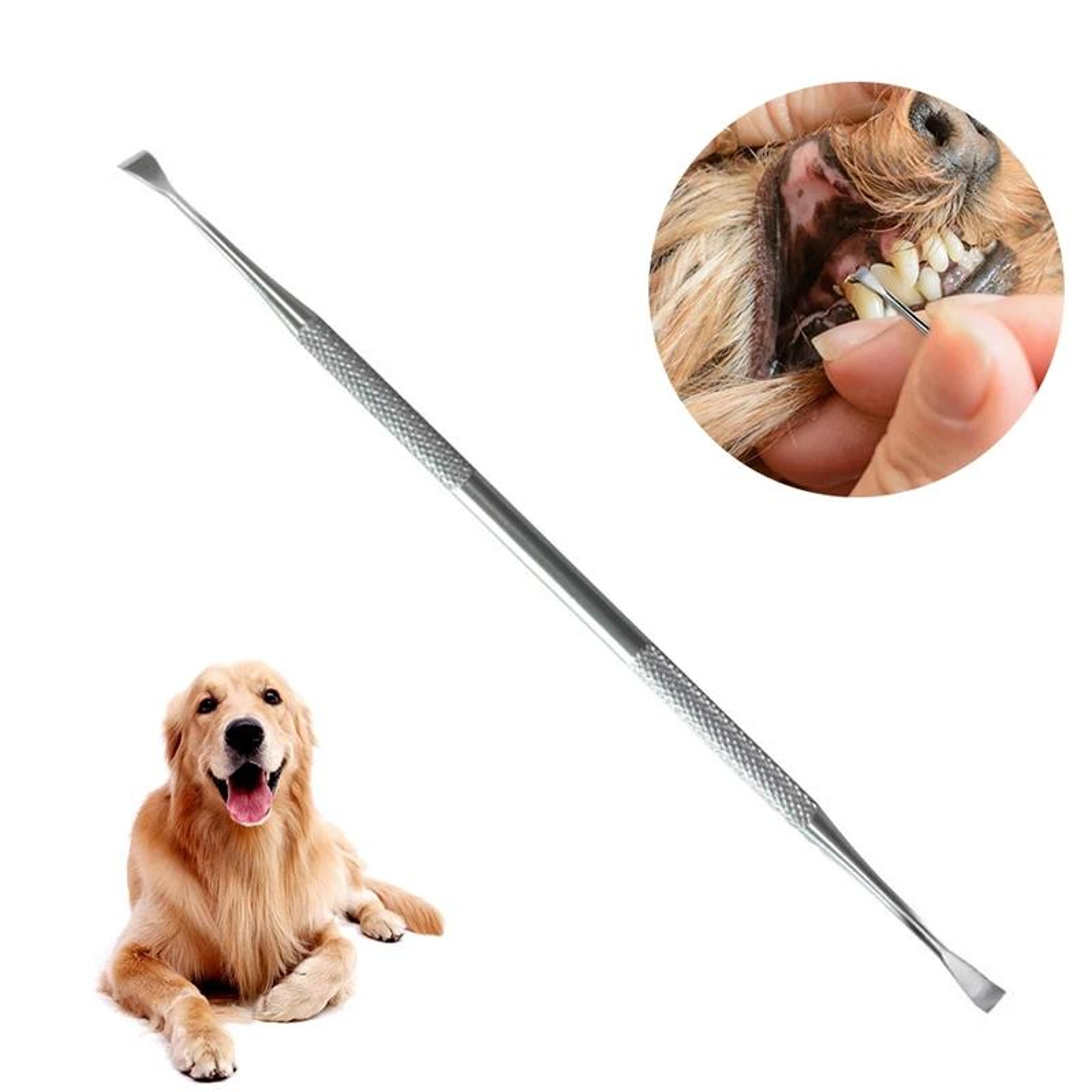 dog dental tartar remover tool stainless steel pet teeth cleaner scraper