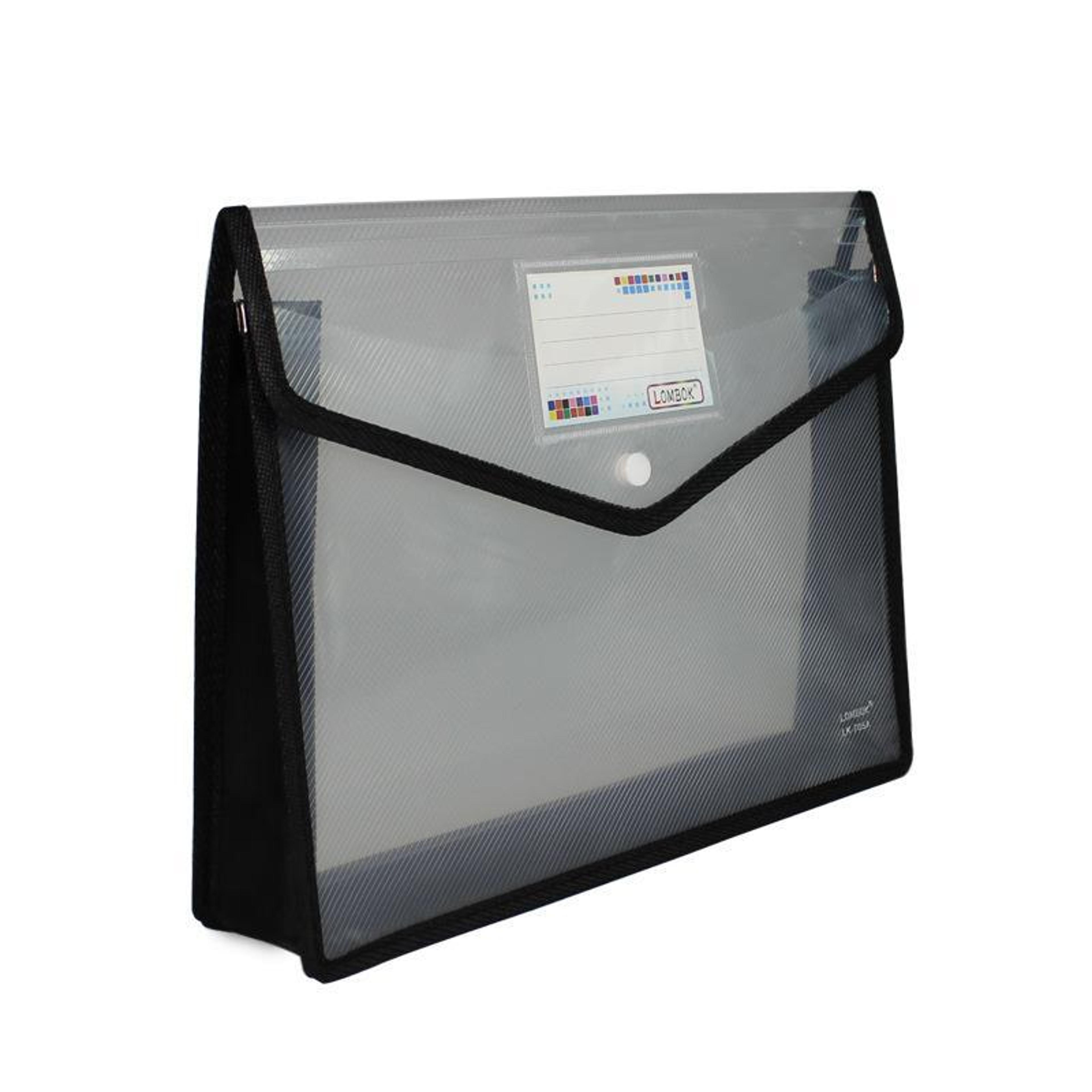 transparent expanding file organizer with snap closure for documents and office storage