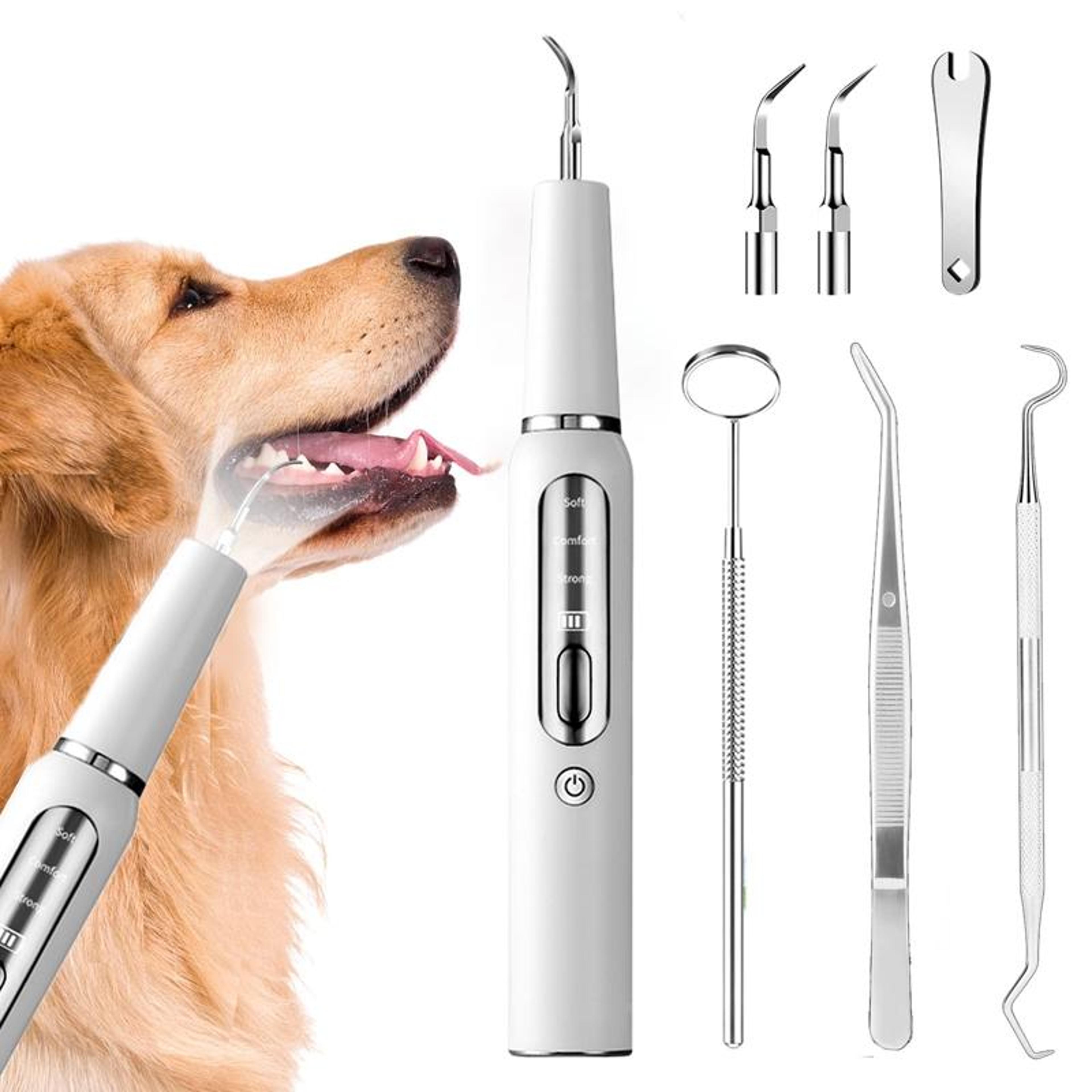 ultrasonic dog teeth cleaner usb rechargeable pet dental cleaner for plaque & tartar removal