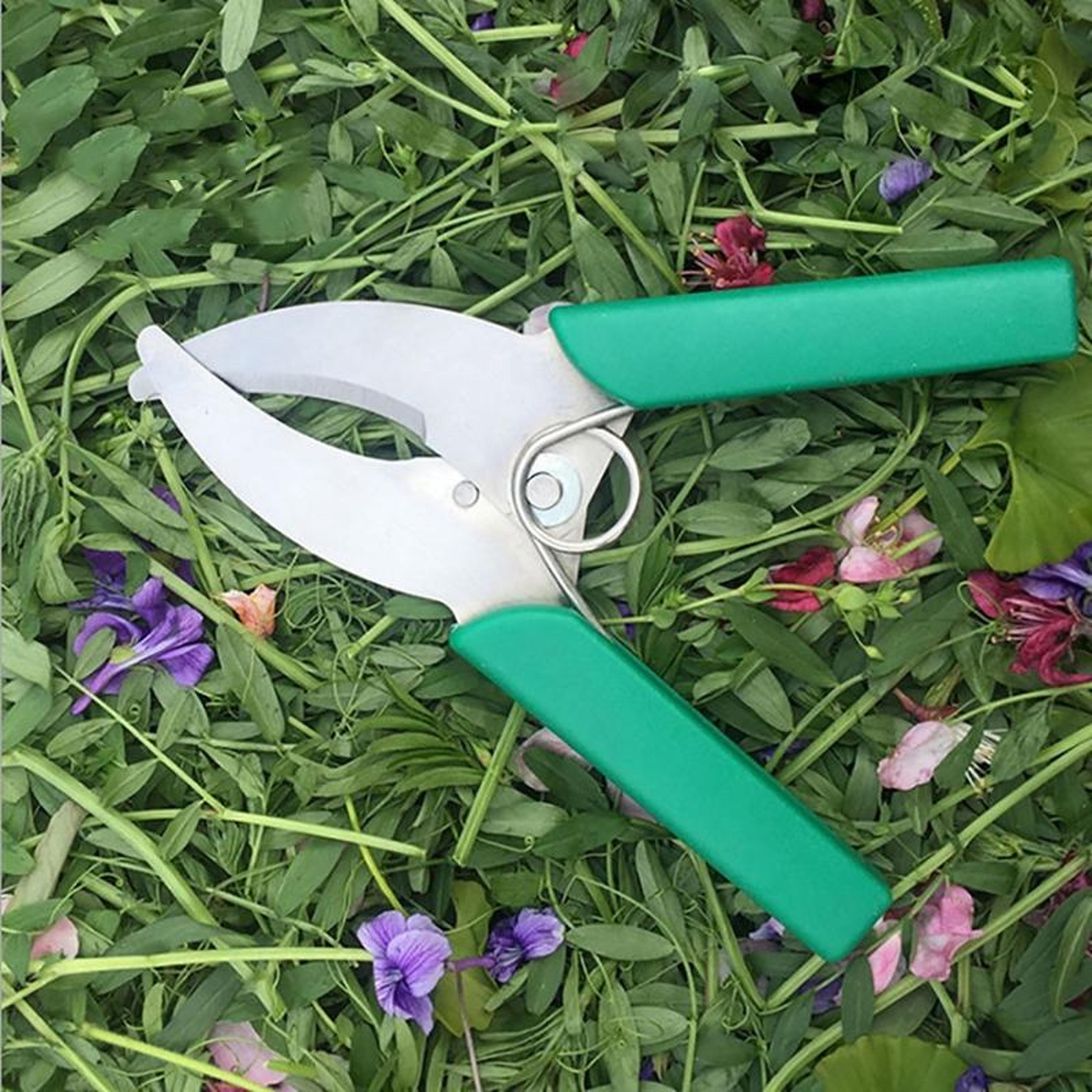 precision fruit tree grafting & bark stripping shears for garden pruning