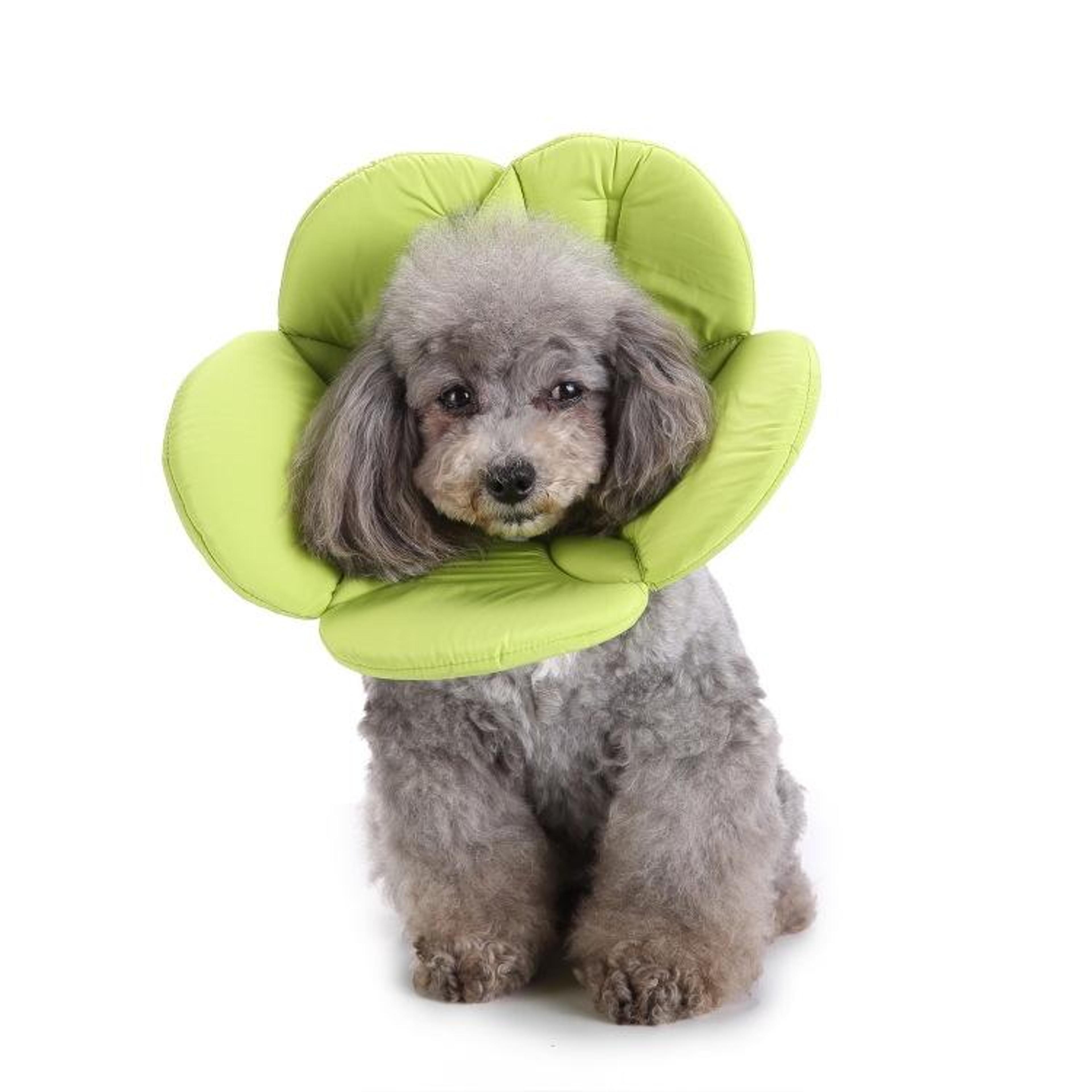 soft flower dog recovery collar for pets comfortable pet protection collar after surgery