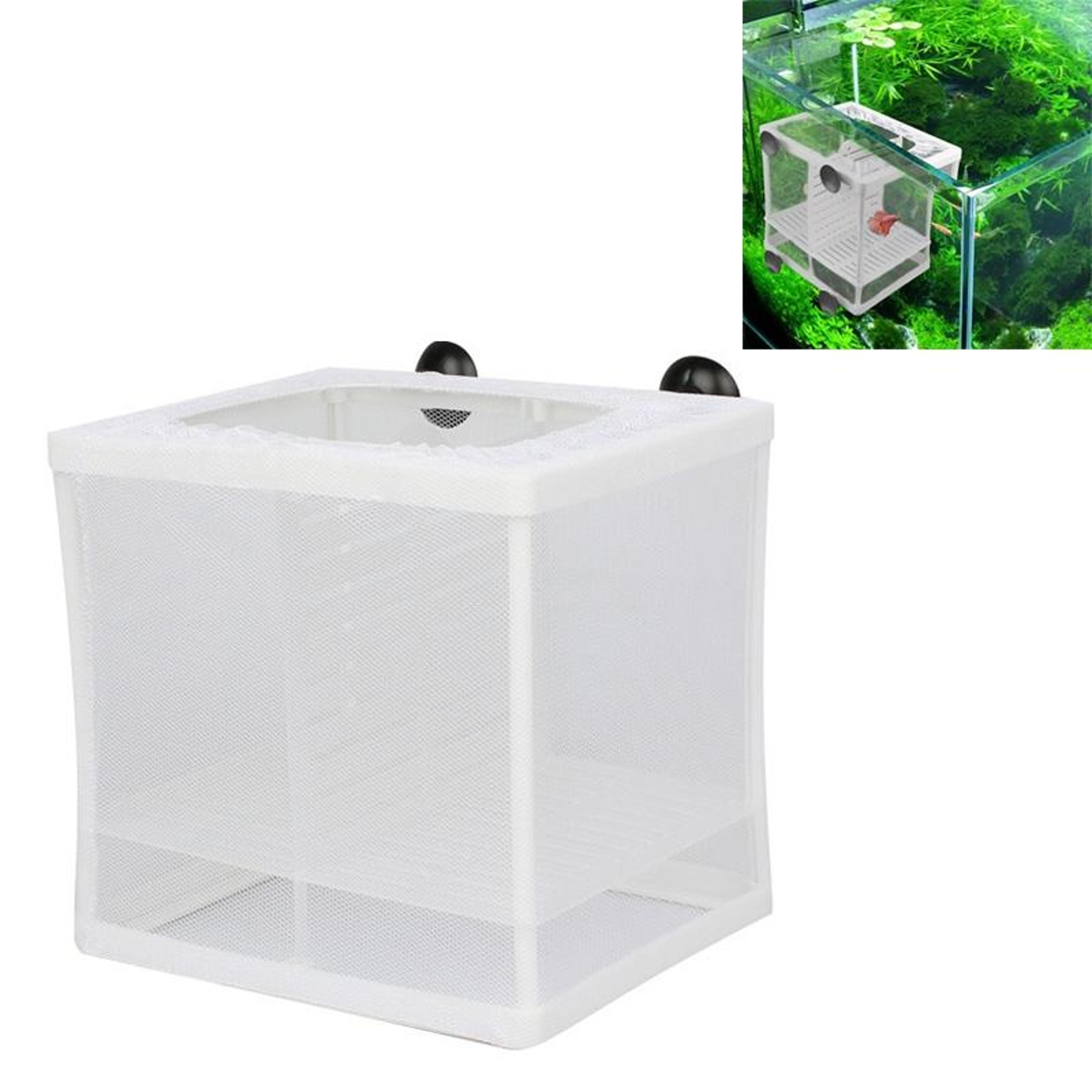 aquarium fish breeding isolation box with suction cups for fry, guppy & tropical fish