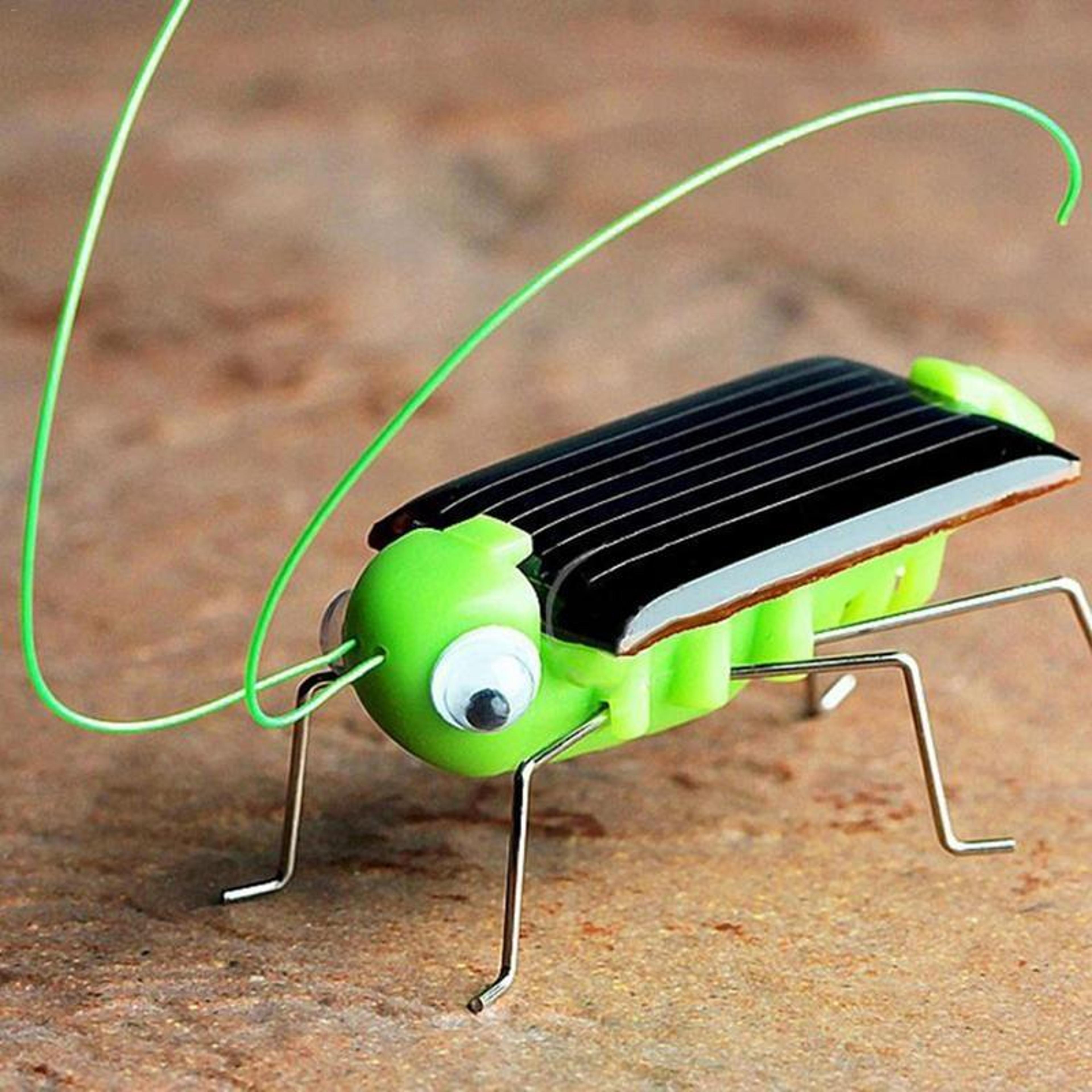 solar powered grasshopper bug toy for kids eco friendly vibrating insect toy