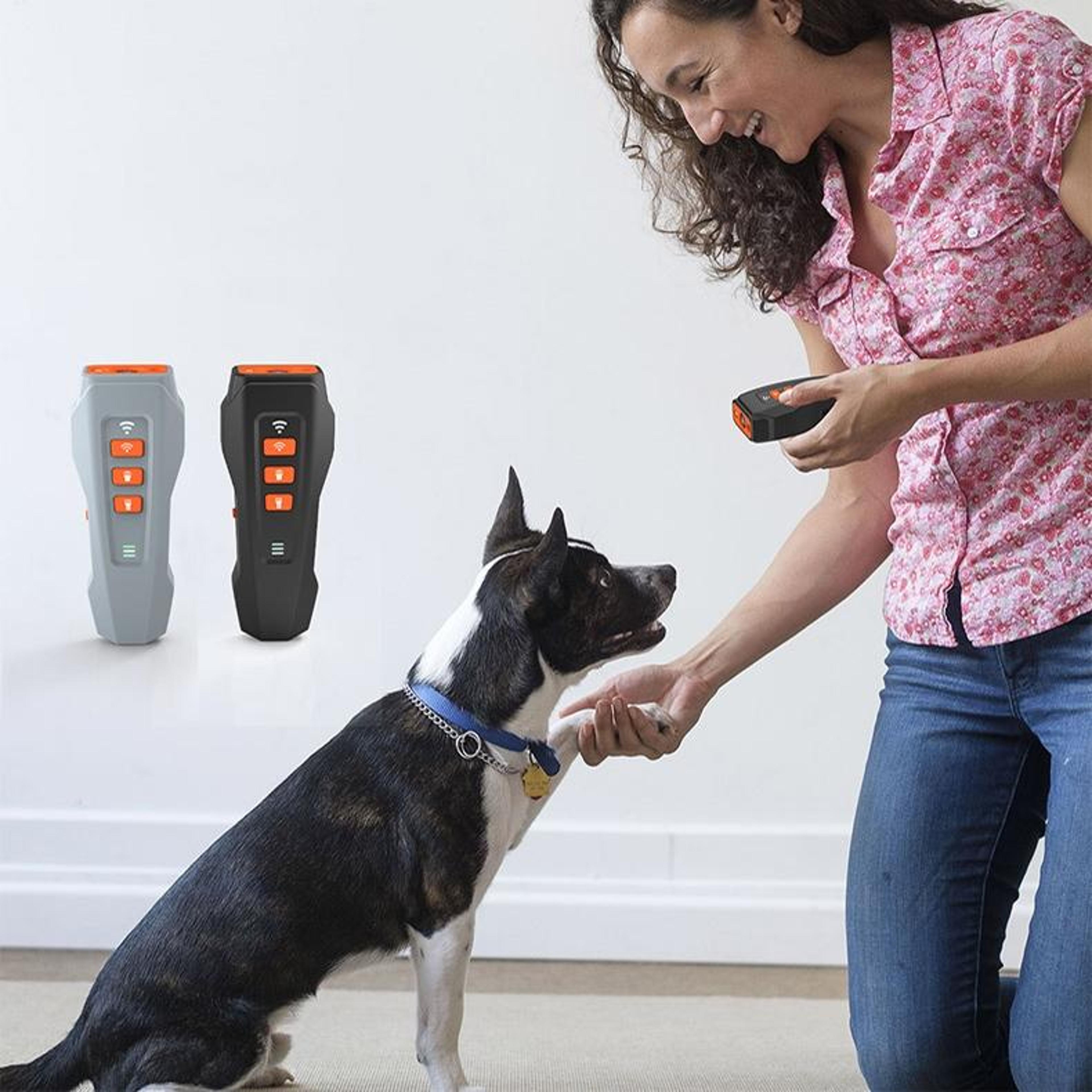 smart ultrasonic dog bark control trainer with led flashlight & laser pointer