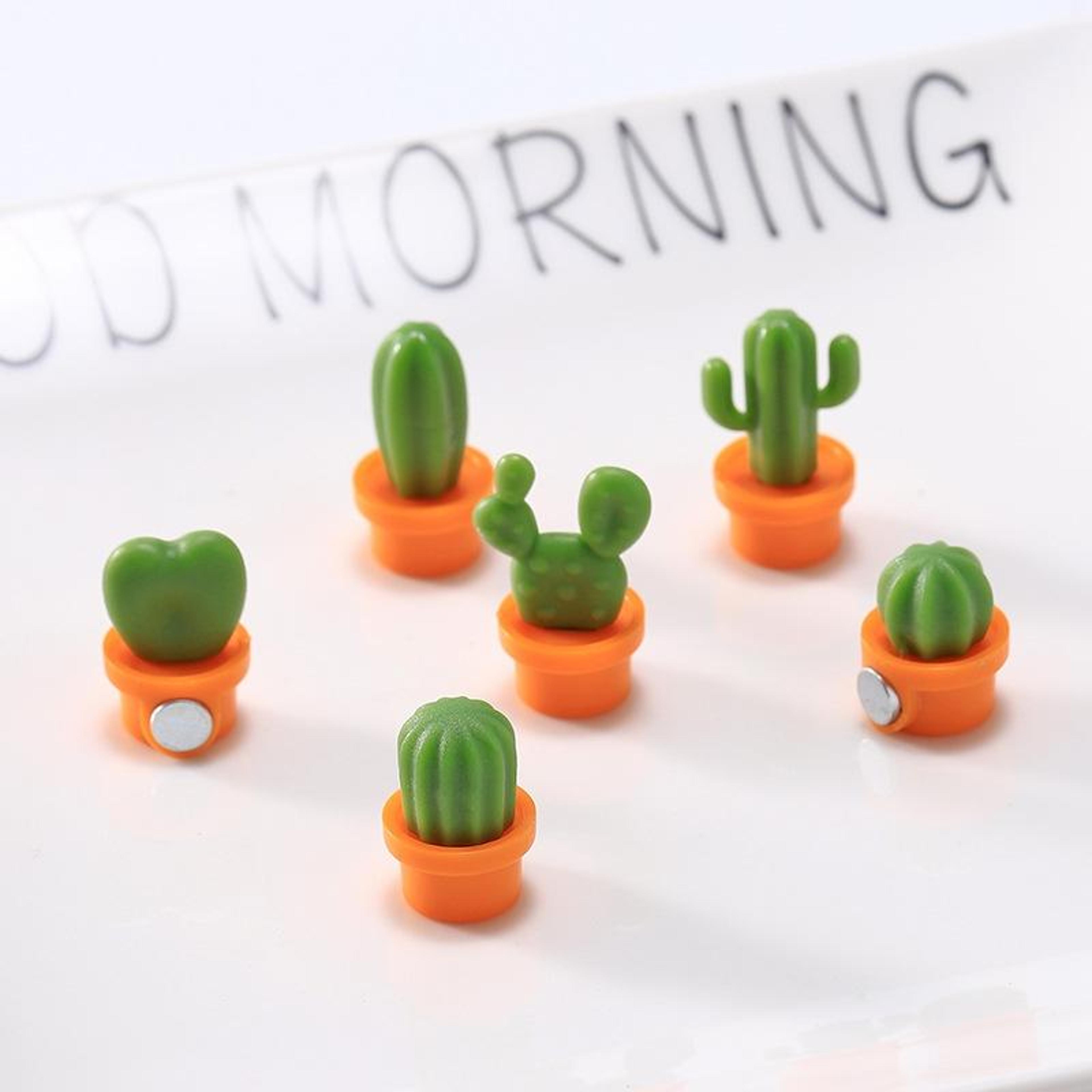 cute cactus fridge magnets set for notes, decor & kitchen organization