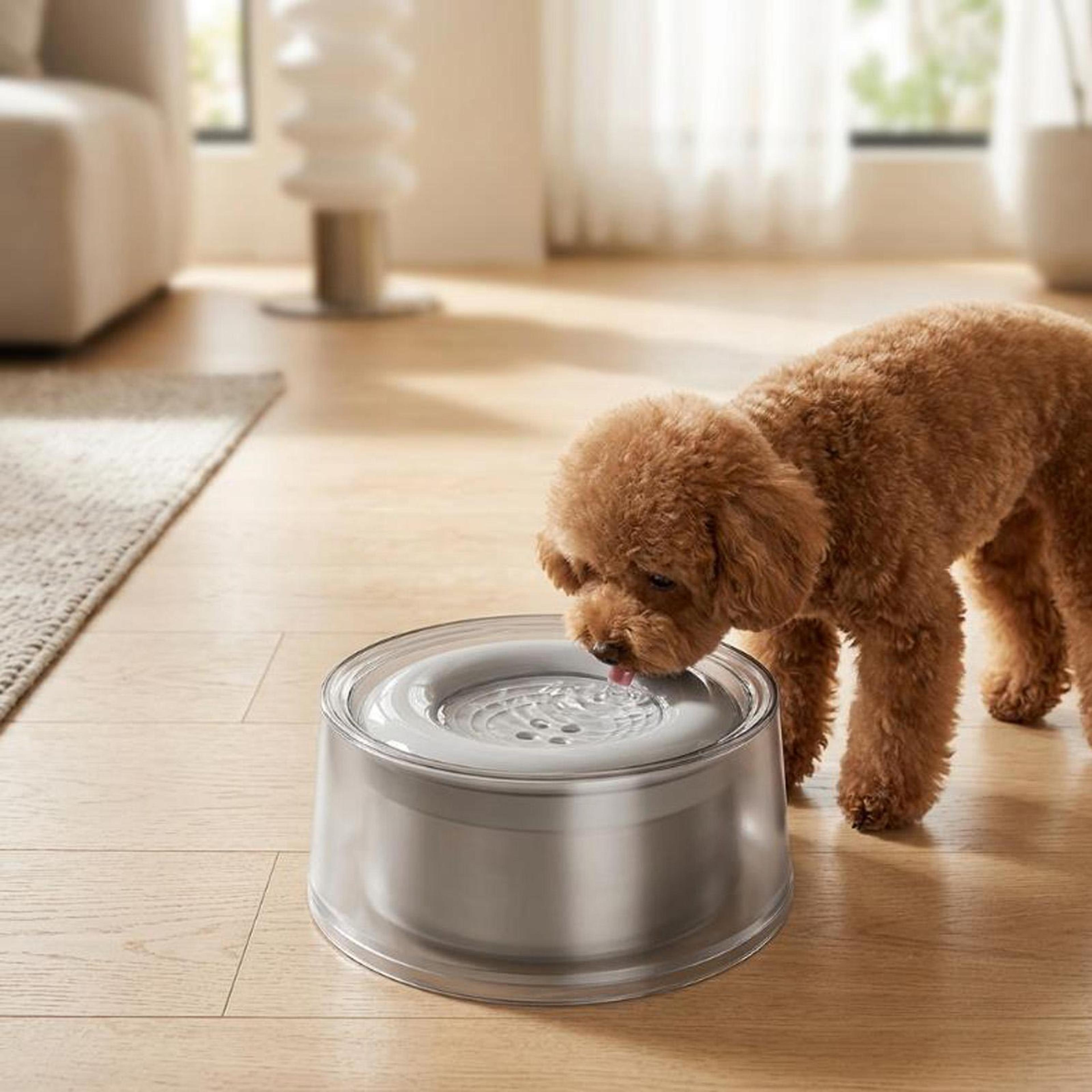 floating pet water bowl for cats & dogs non slip large capacity dispenser