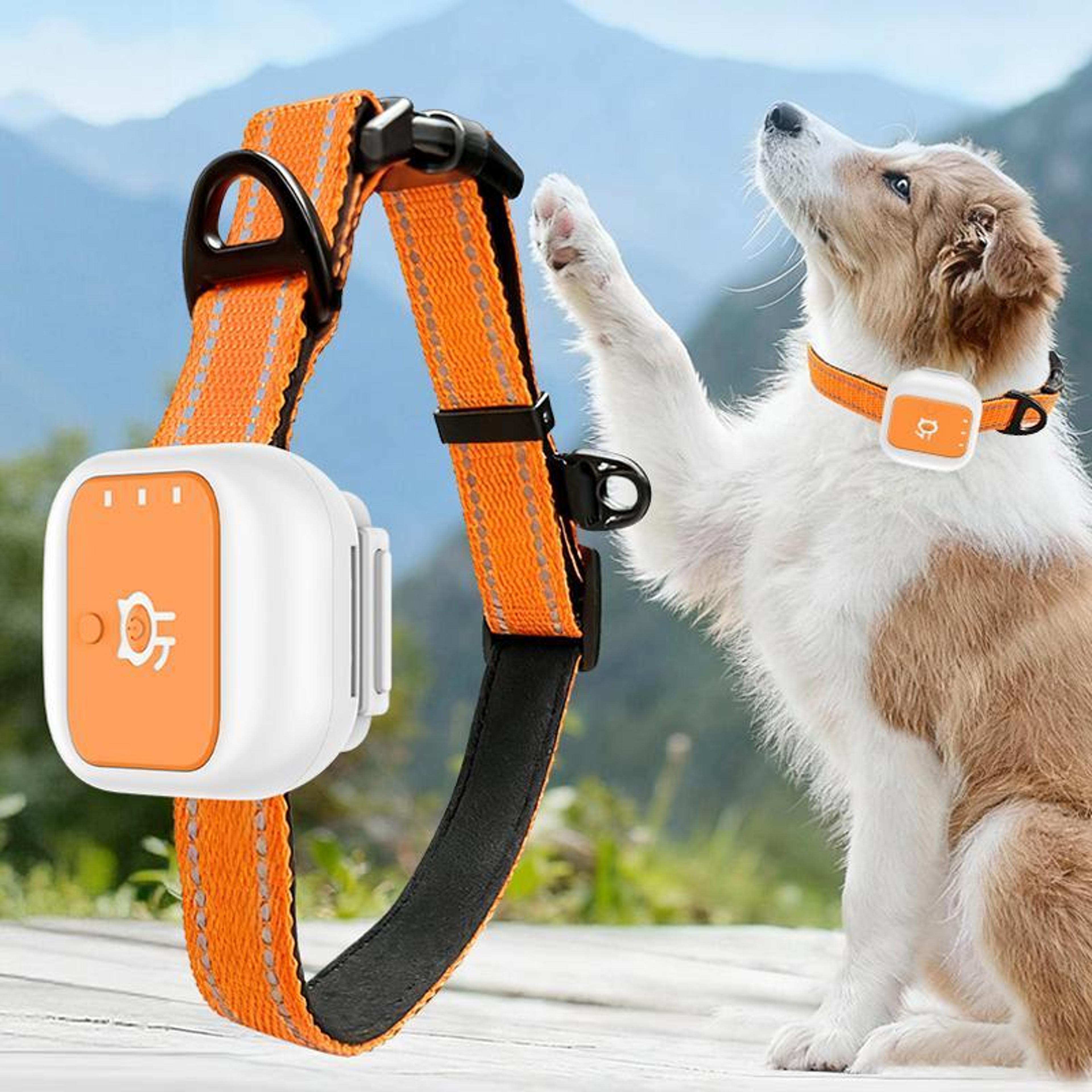 advanced pet gps tracker collar with real time location & sos alerts