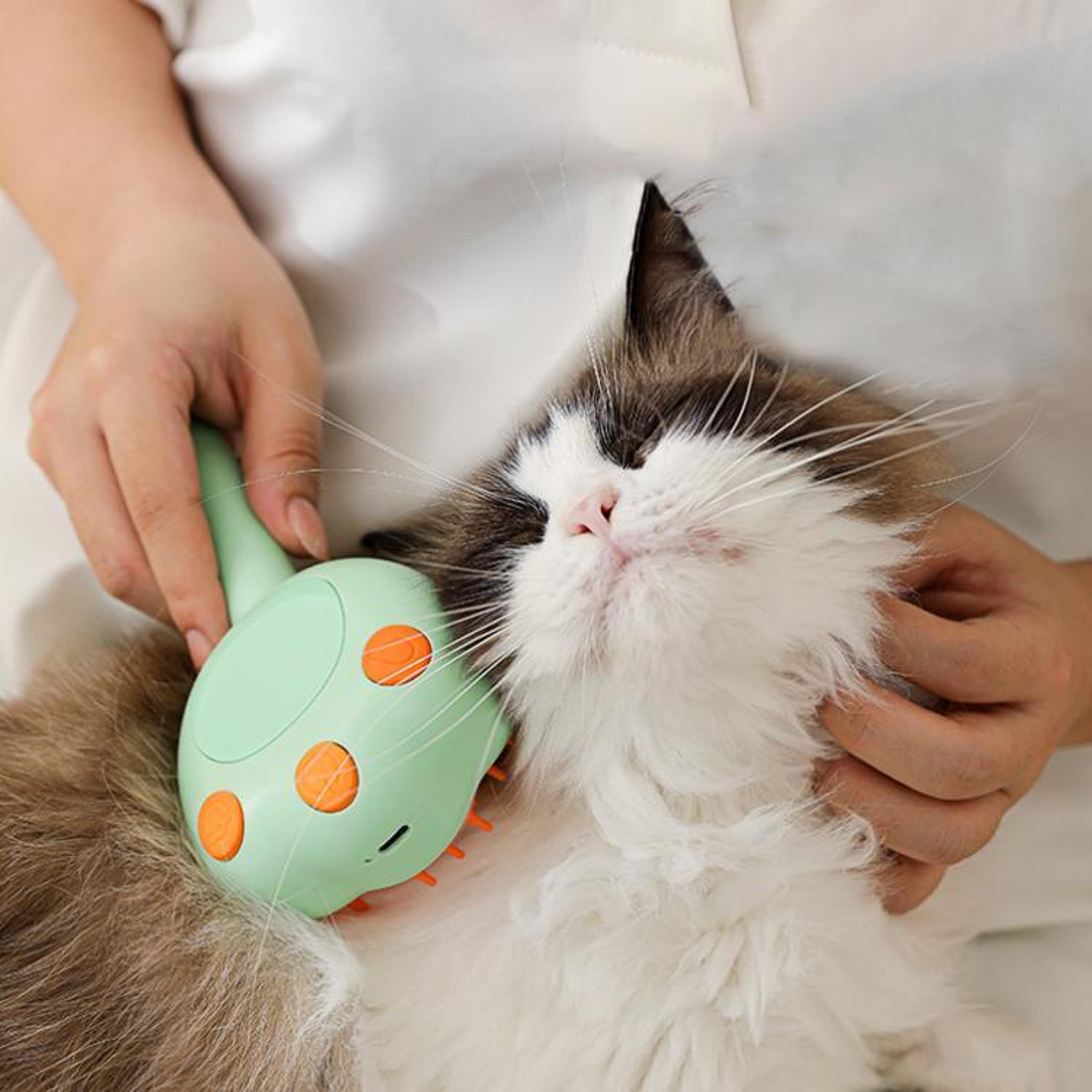 pet grooming brush & spray massage comb for dogs and cats