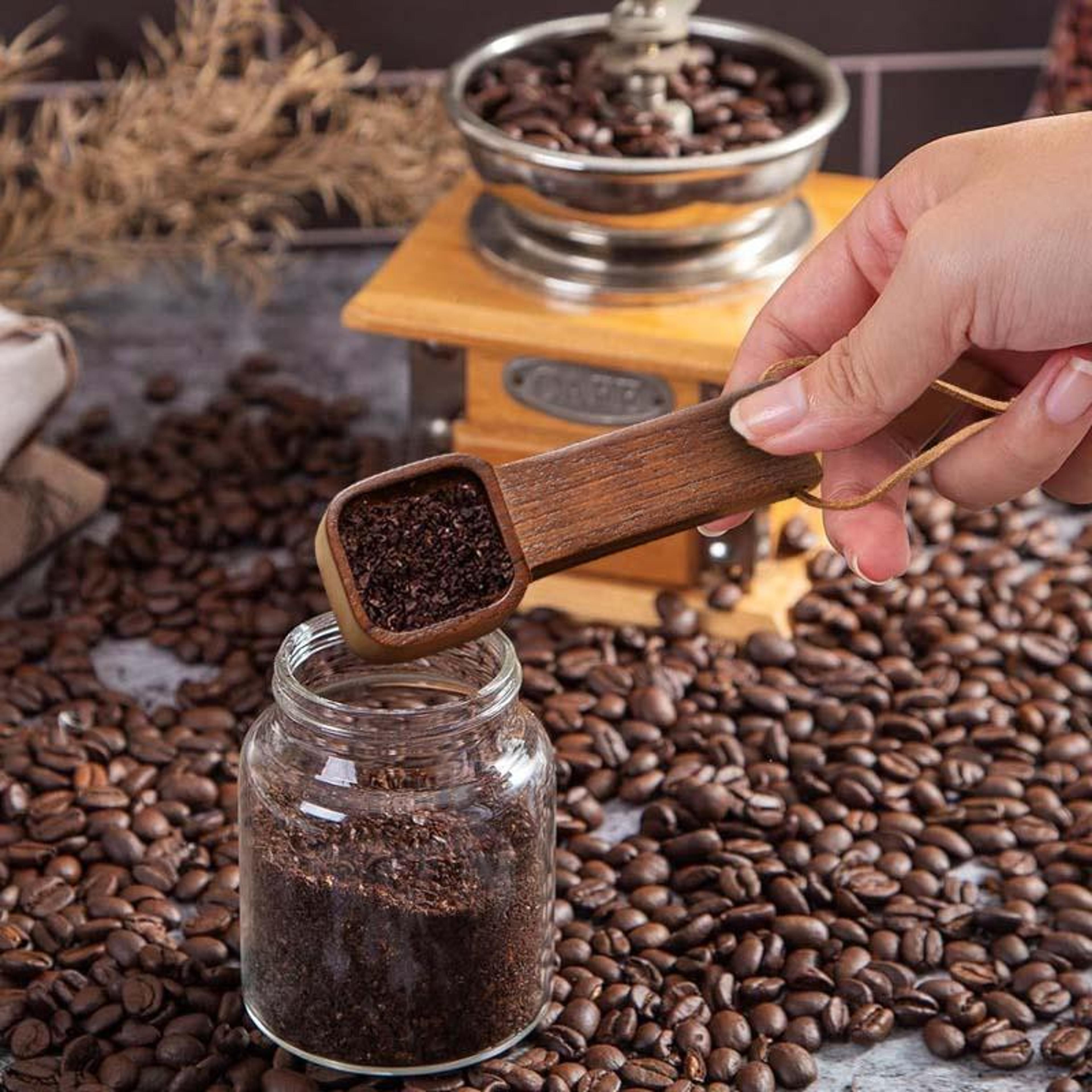 solid wood coffee measuring spoon & seasoning scoop