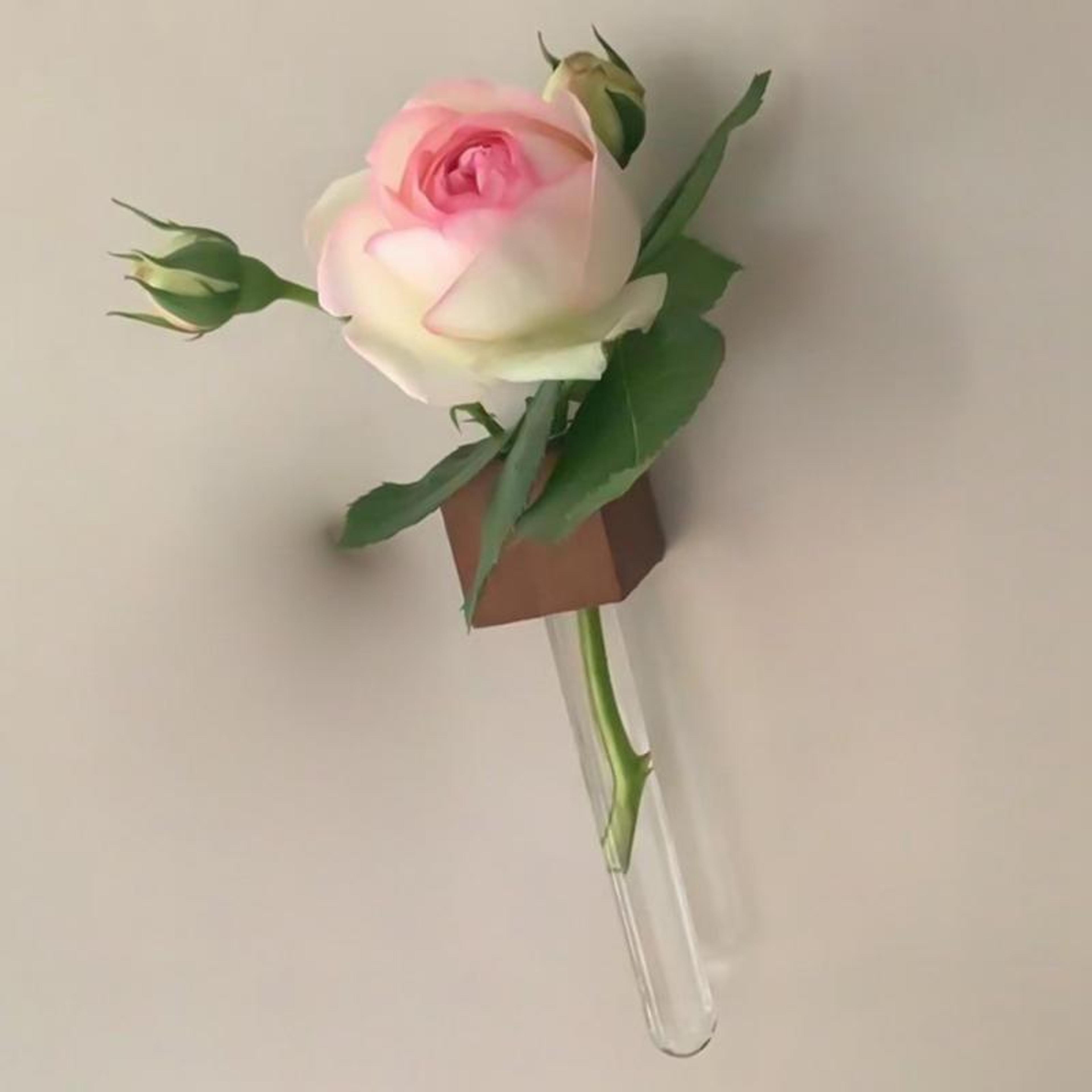 walnut magnetic bud vase fridge magnet hydroponic flower holder