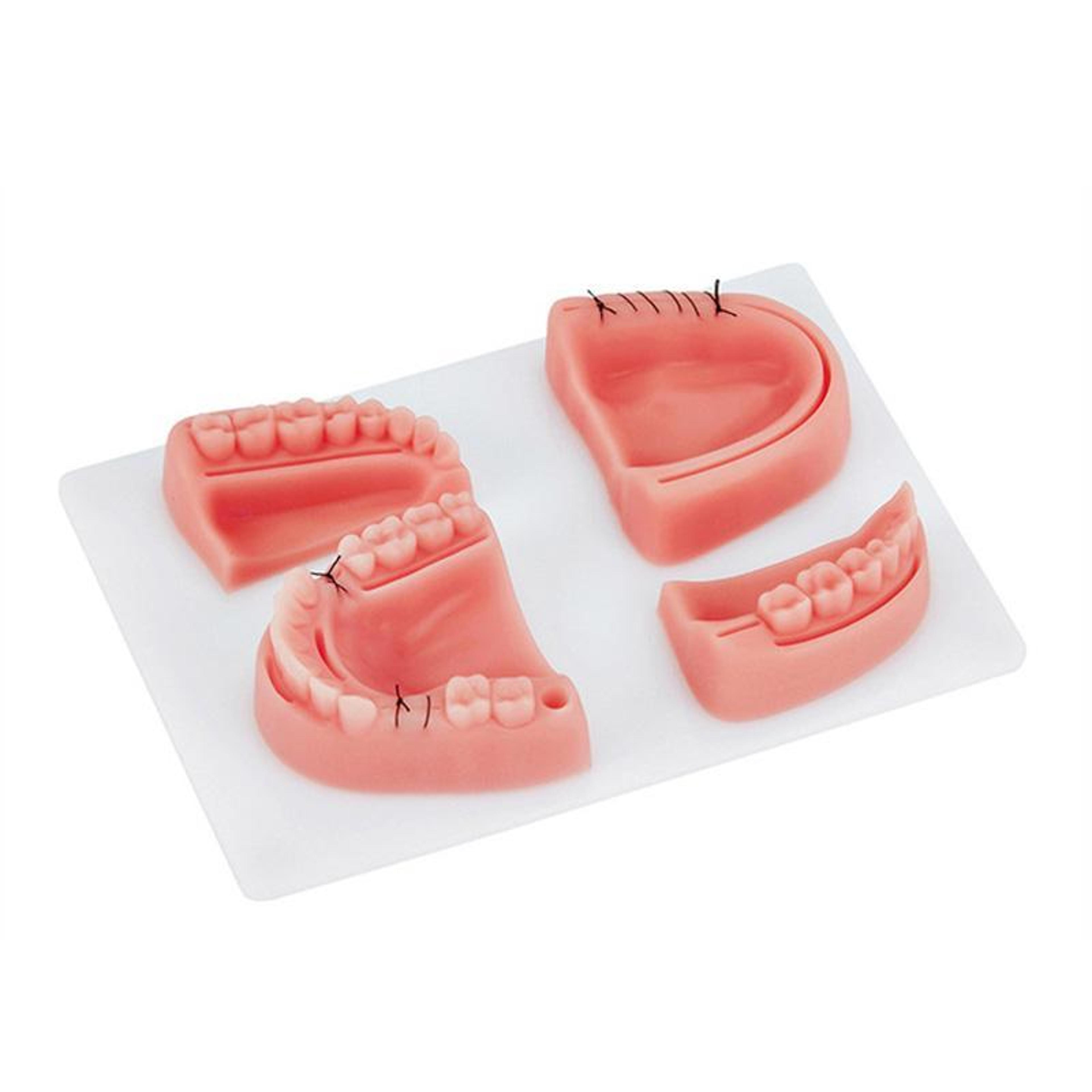 dental suture practice model silicone oral surgery training simulator for students & professionals