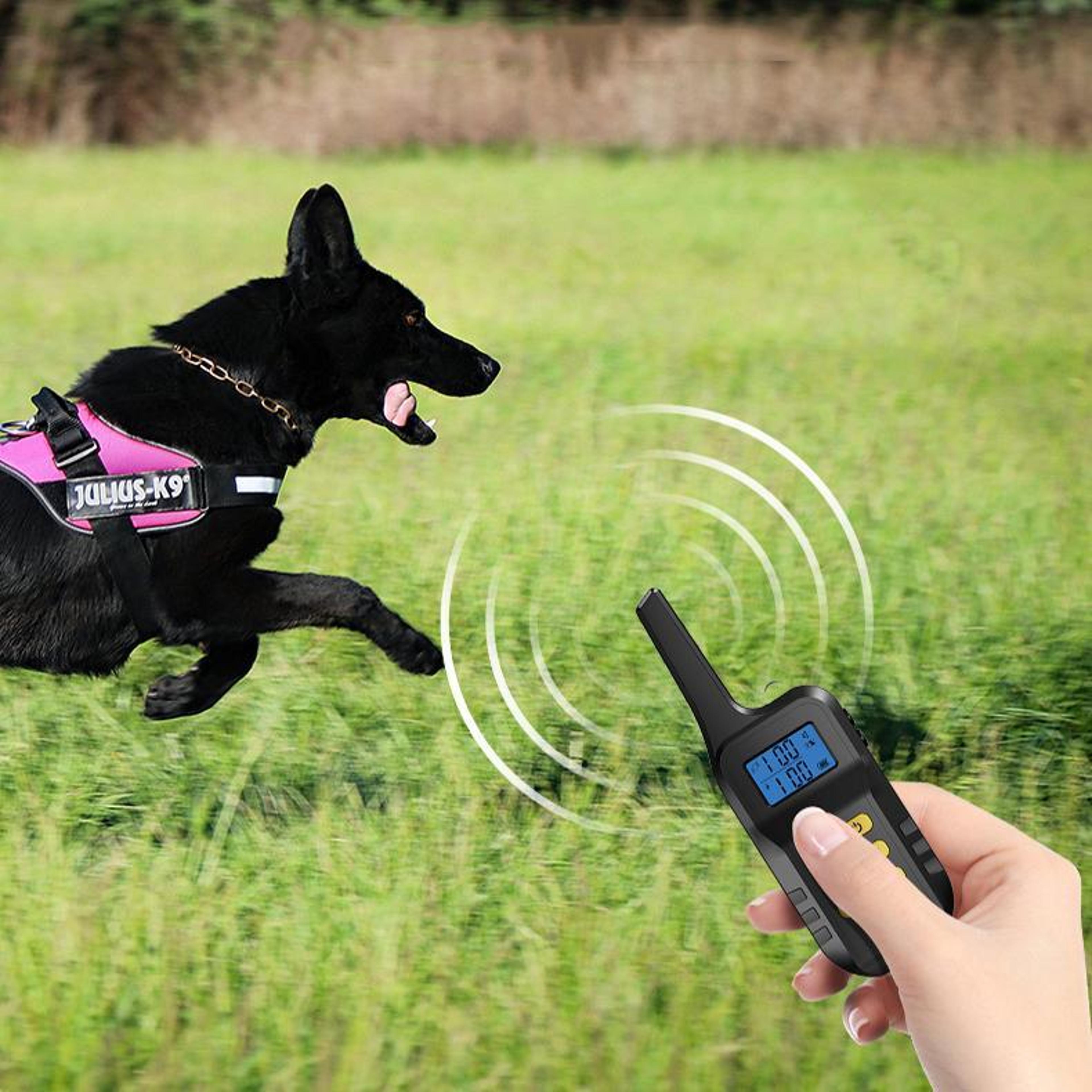 smart 1000m dog training collar with remote, vibration & adjustable training modes