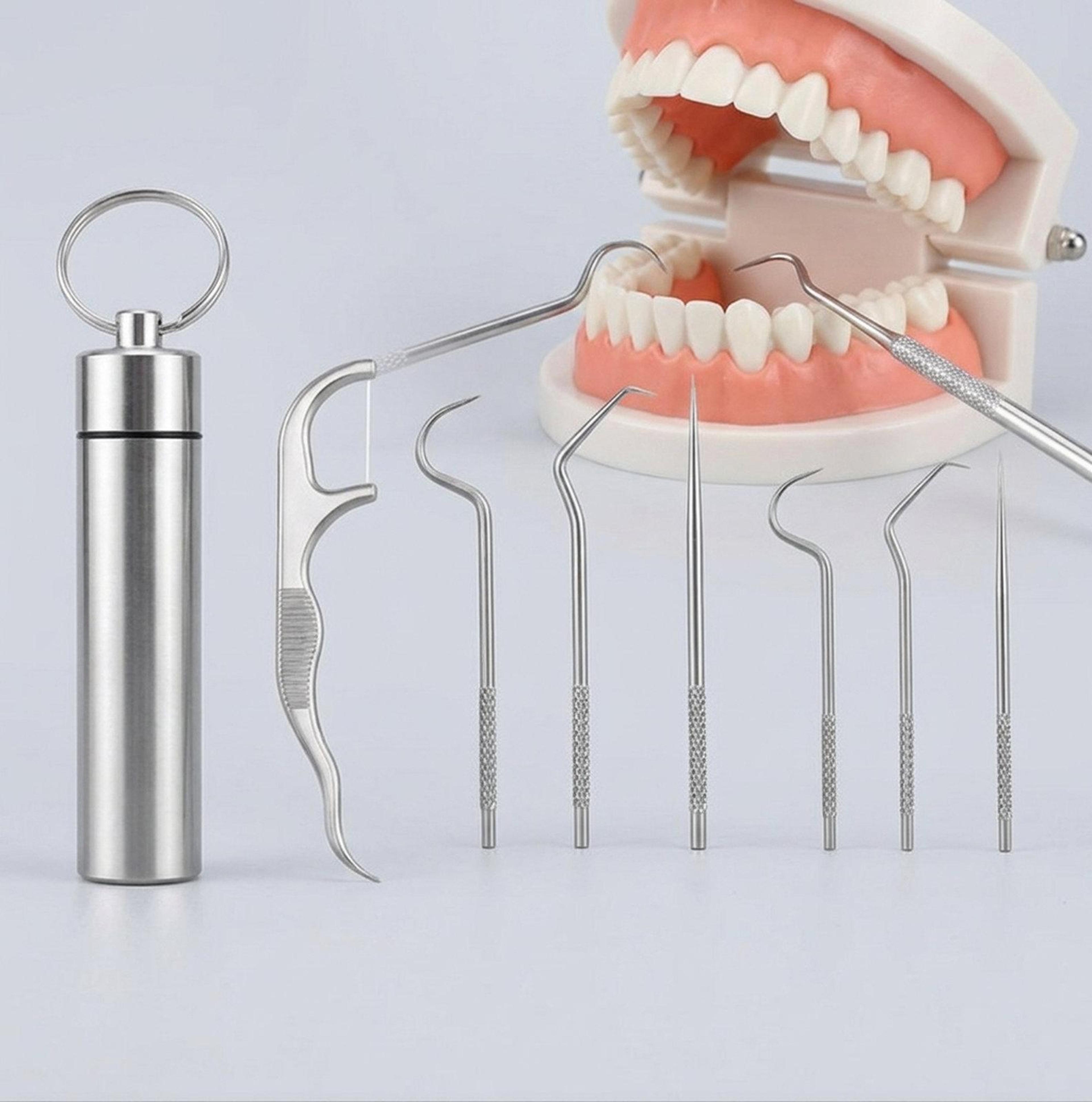 7 piece stainless steel toothpick set reusable dental pick kit with portable metal case for oral care