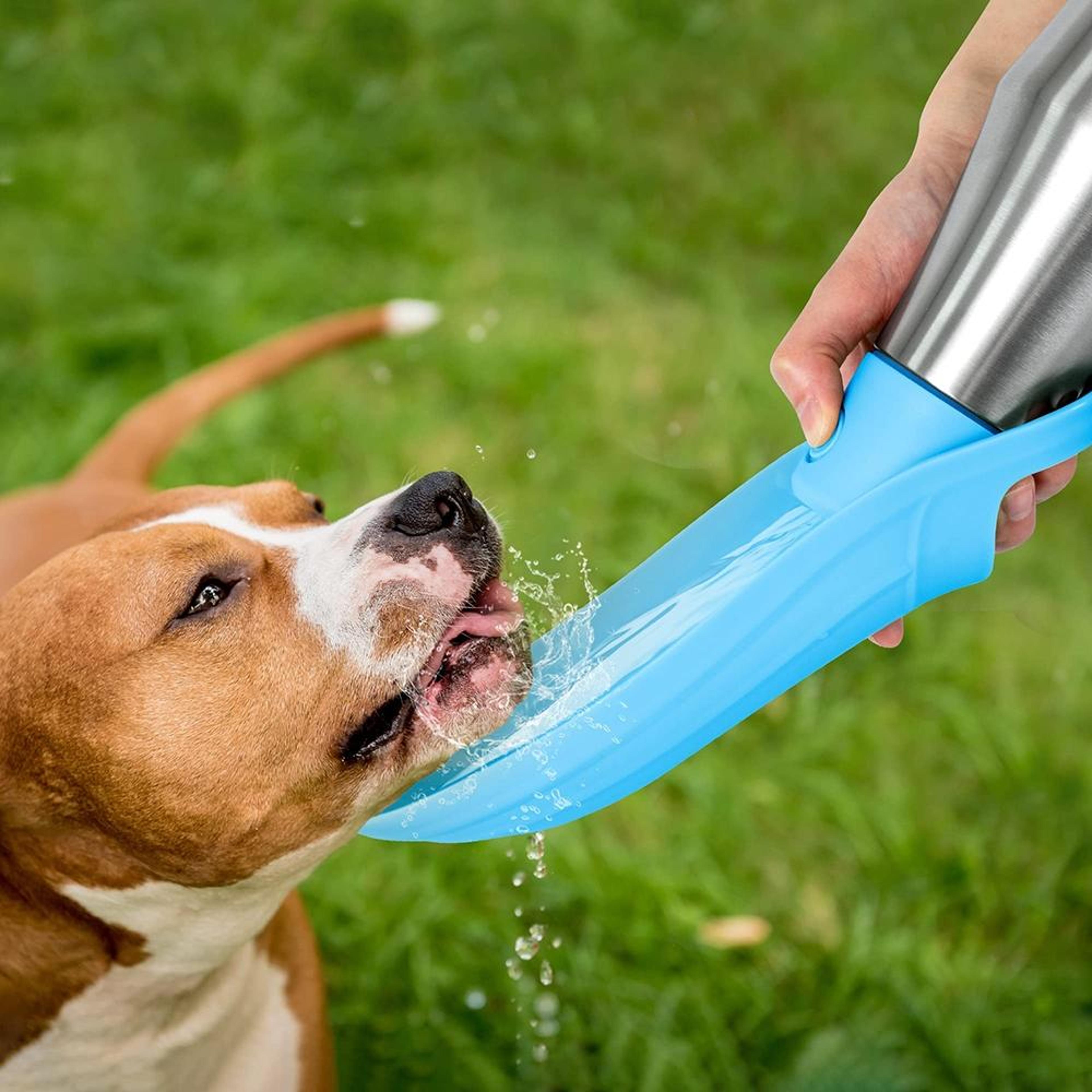 stainless steel portable dog water bottle foldable outdoor pet drinking fountain