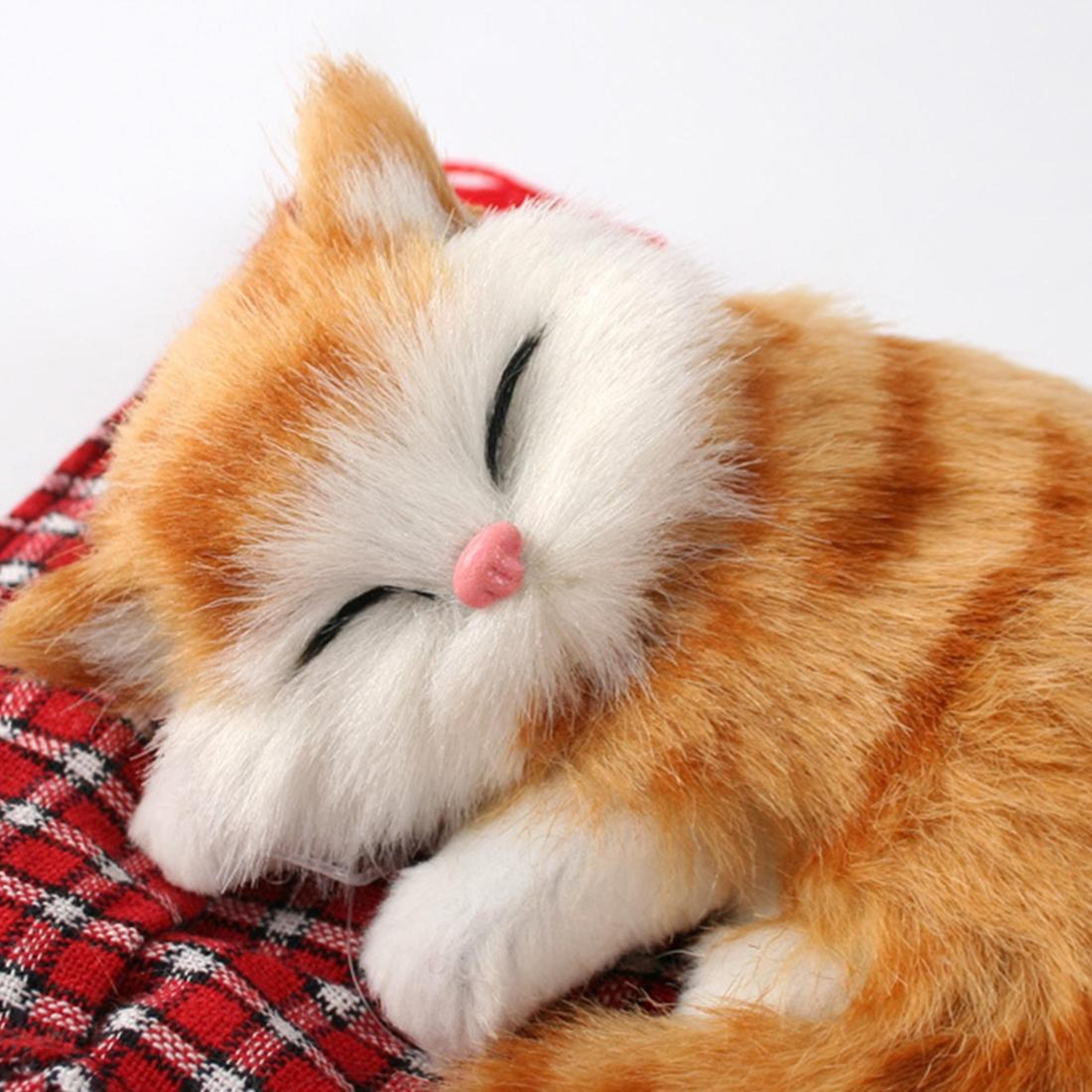 realistic sleeping cat plush stuffed animal for home, car & office decor