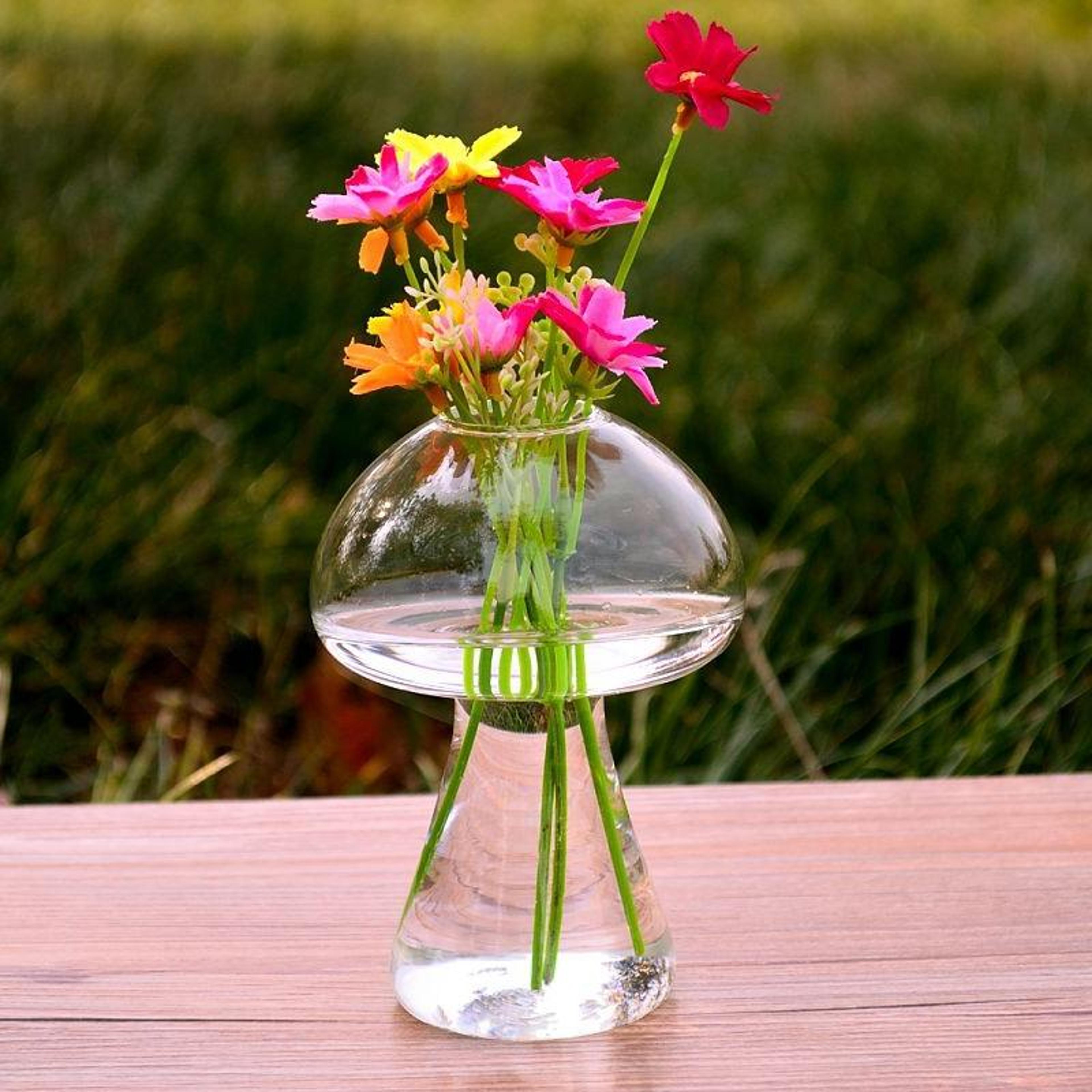 mushroom glass terrarium vase mini flower vase for desktop home table decoration