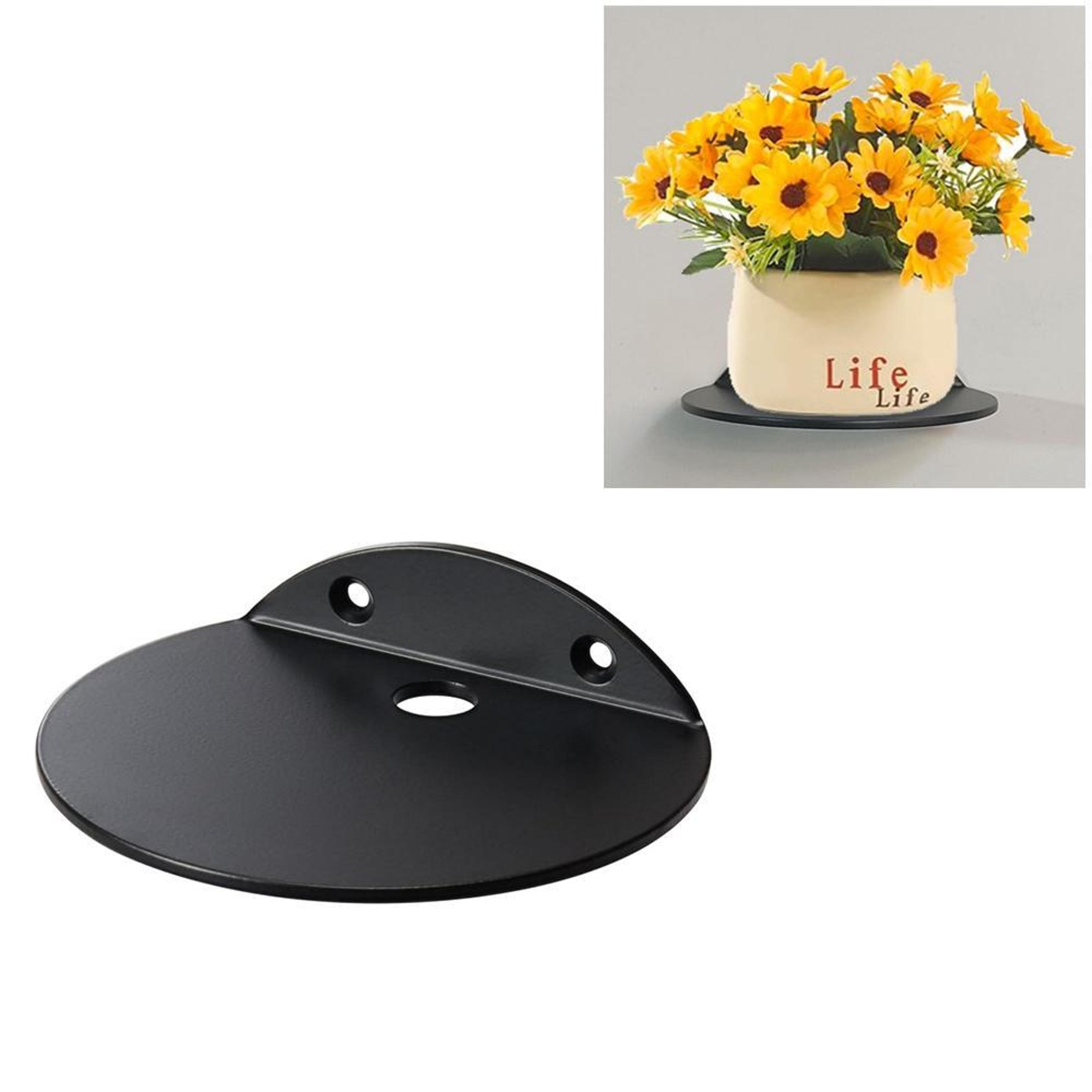 black acrylic wall shelf for plants and decor, small wall-mounted display stand