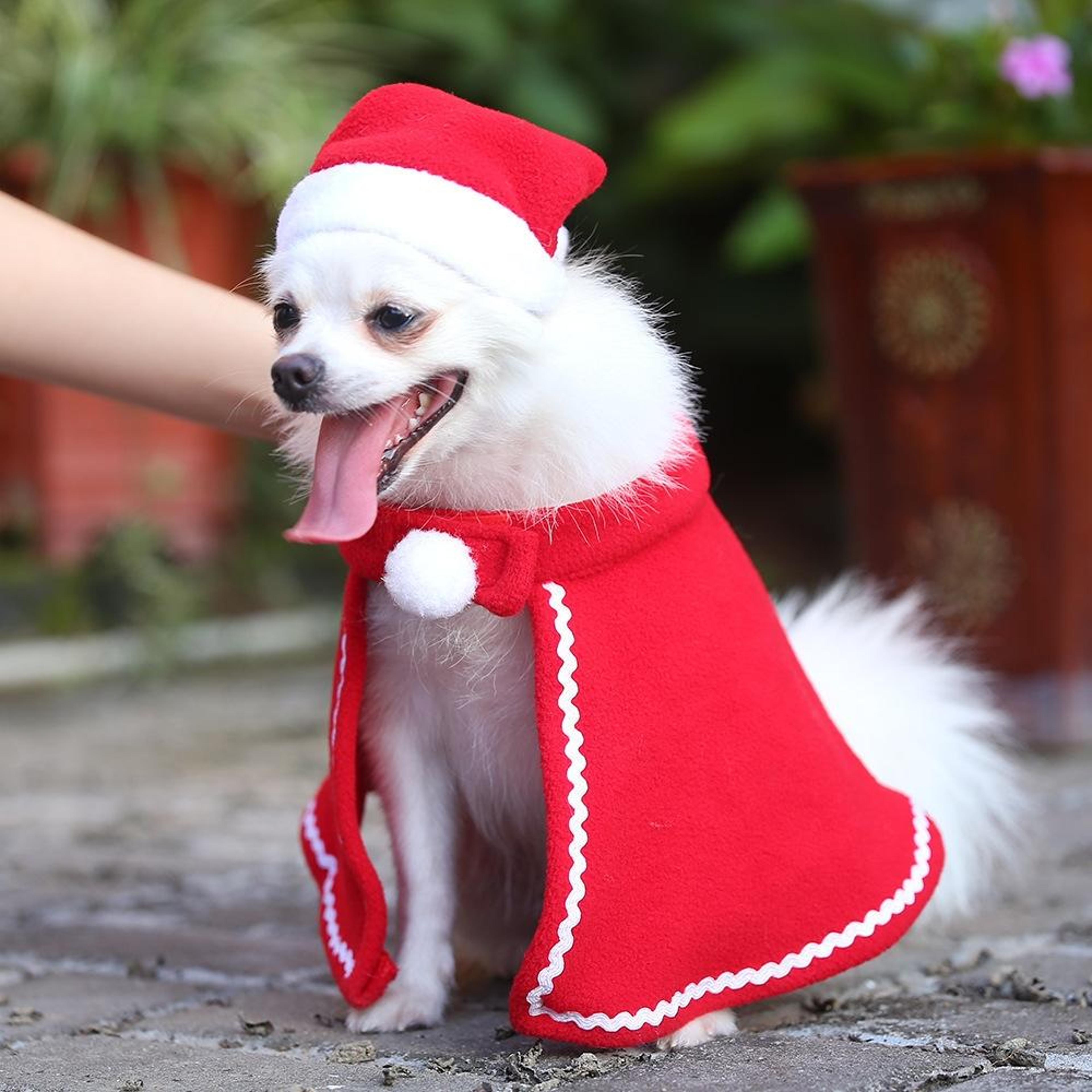 festive dog christmas costume with santa hat and pet cloak for puppies