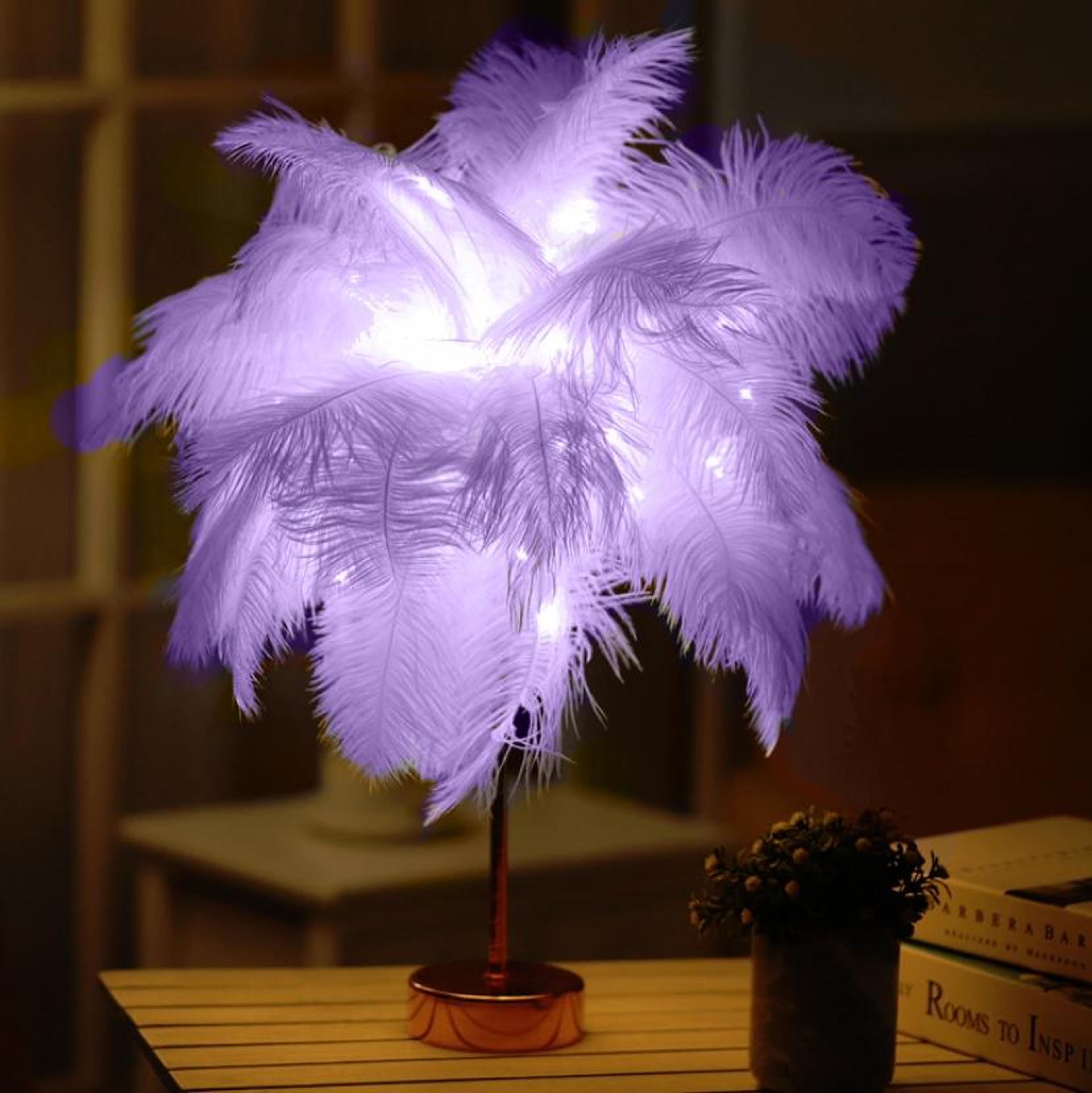 ostrich feather table lamp with dimmable led night light and remote control