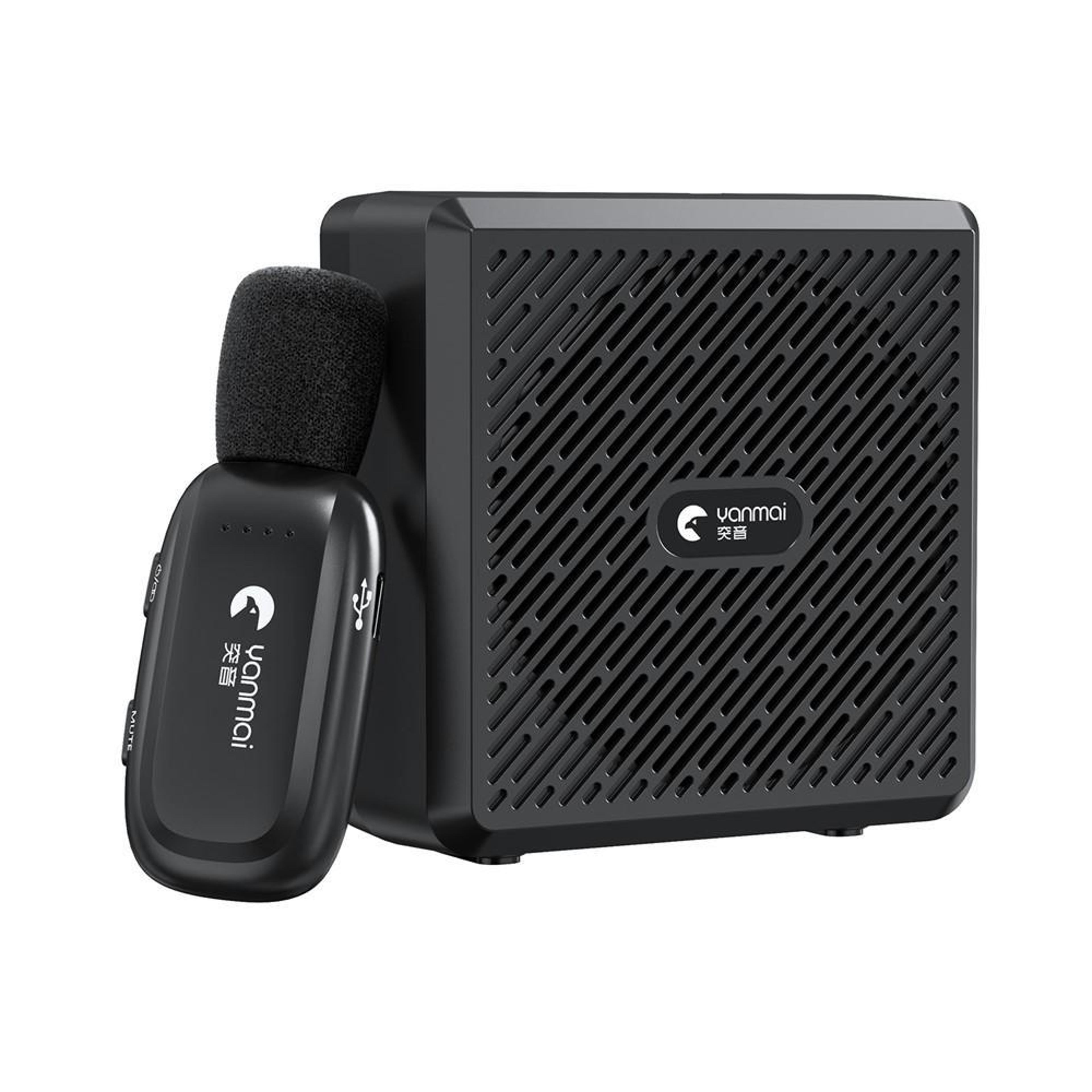 wireless voice amplifier with lapel microphone and 20w speaker