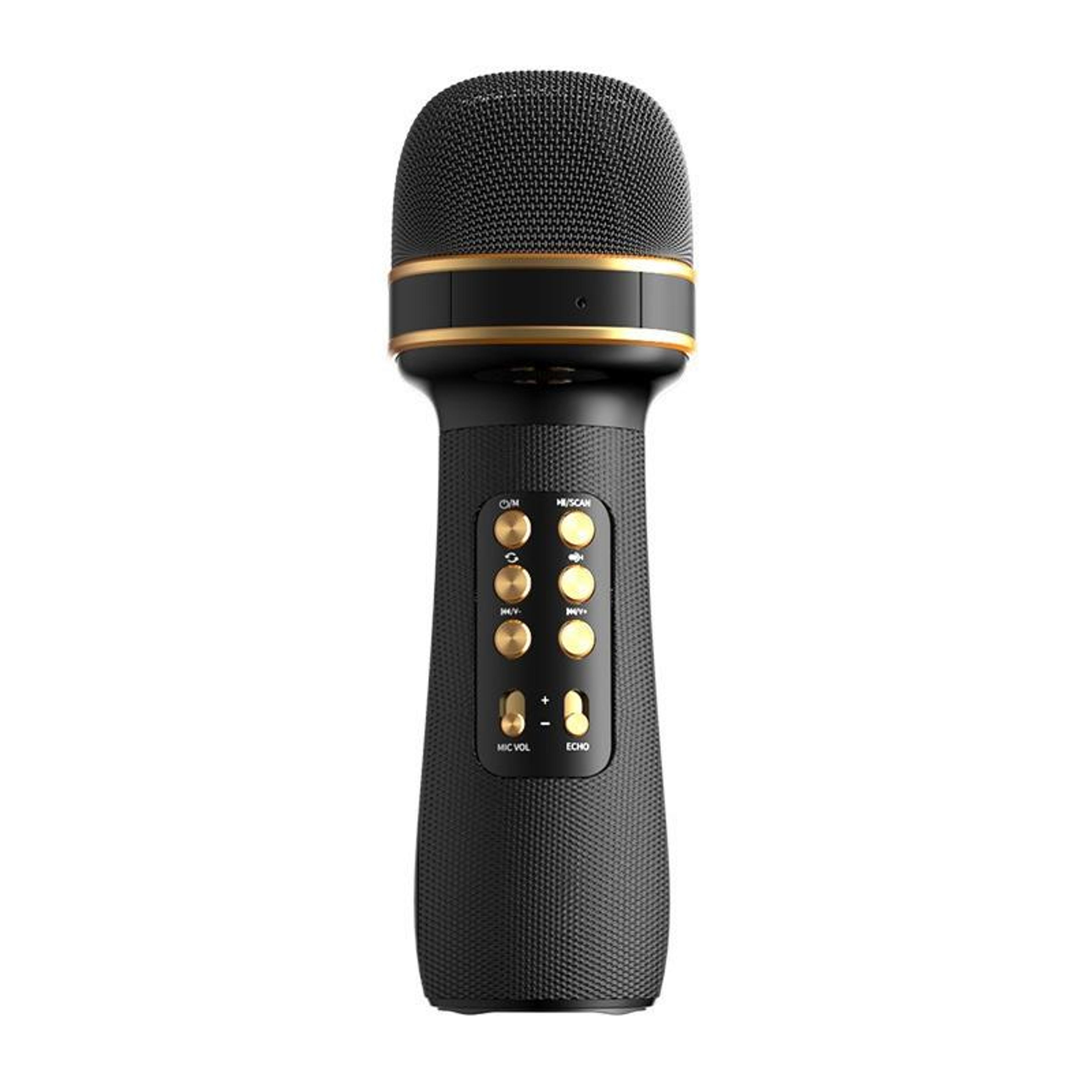 wireless karaoke microphone with bluetooth speaker and fm radio