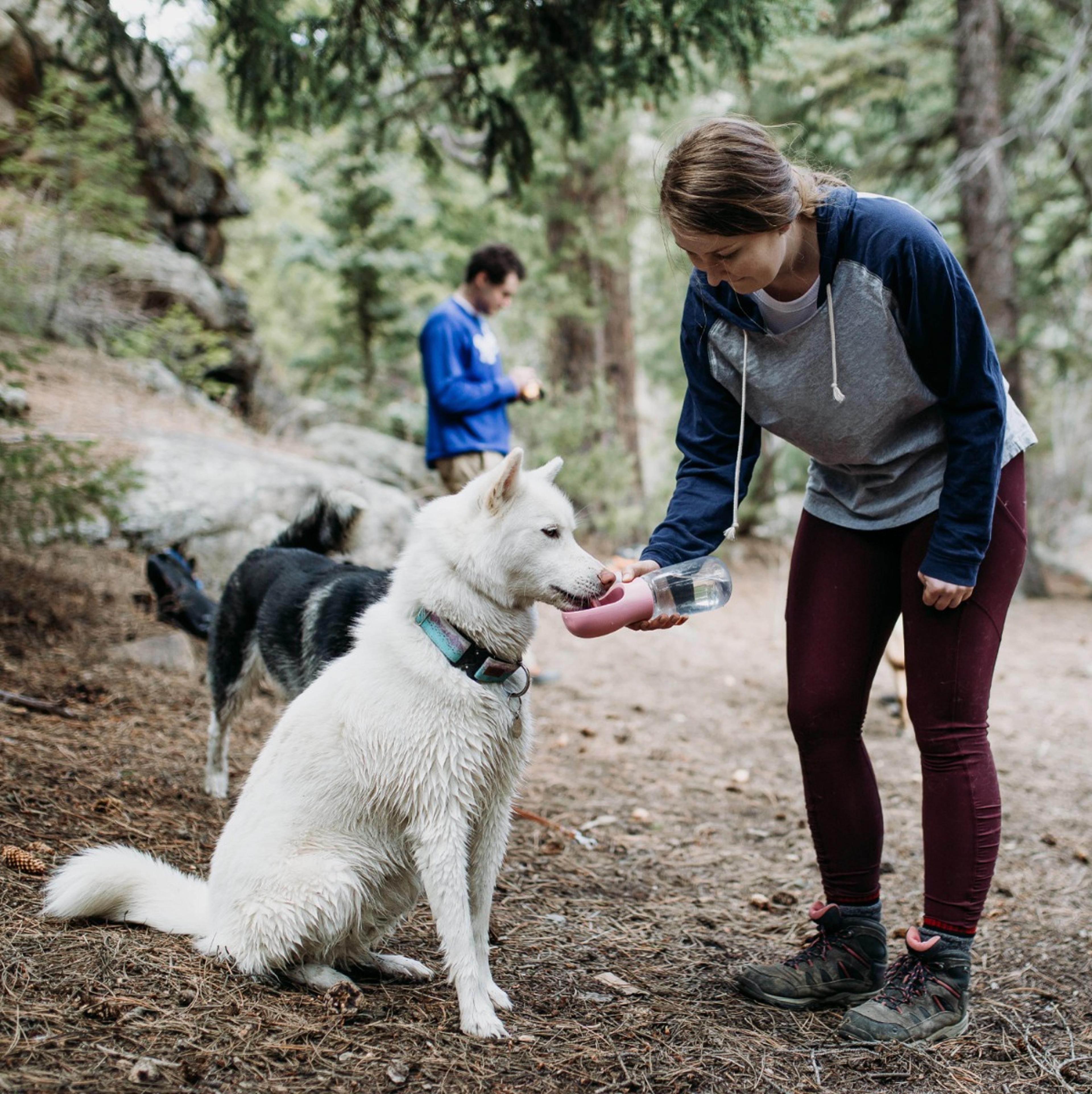 bottledoggy portable drinking water bottle