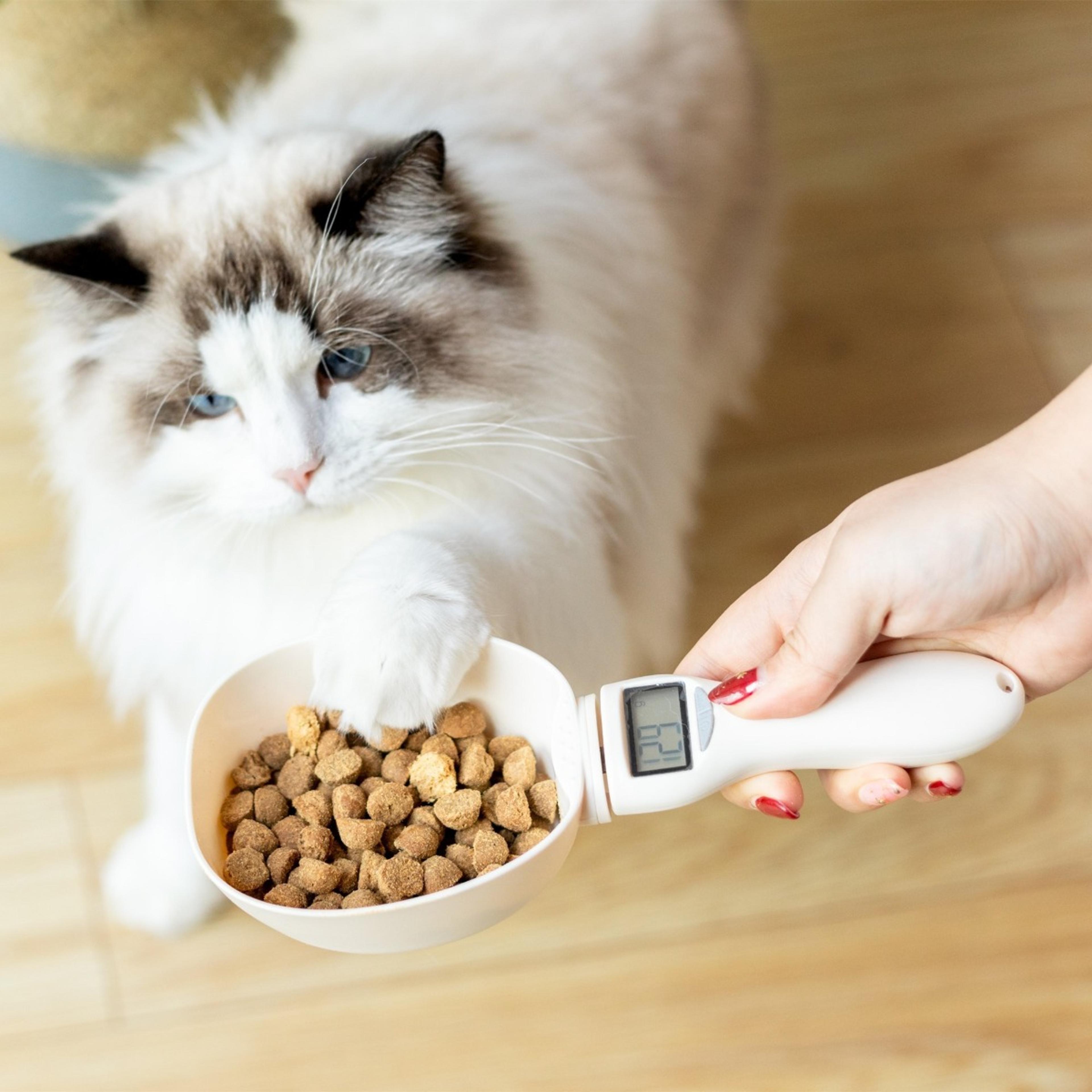 pet food measuring scoop