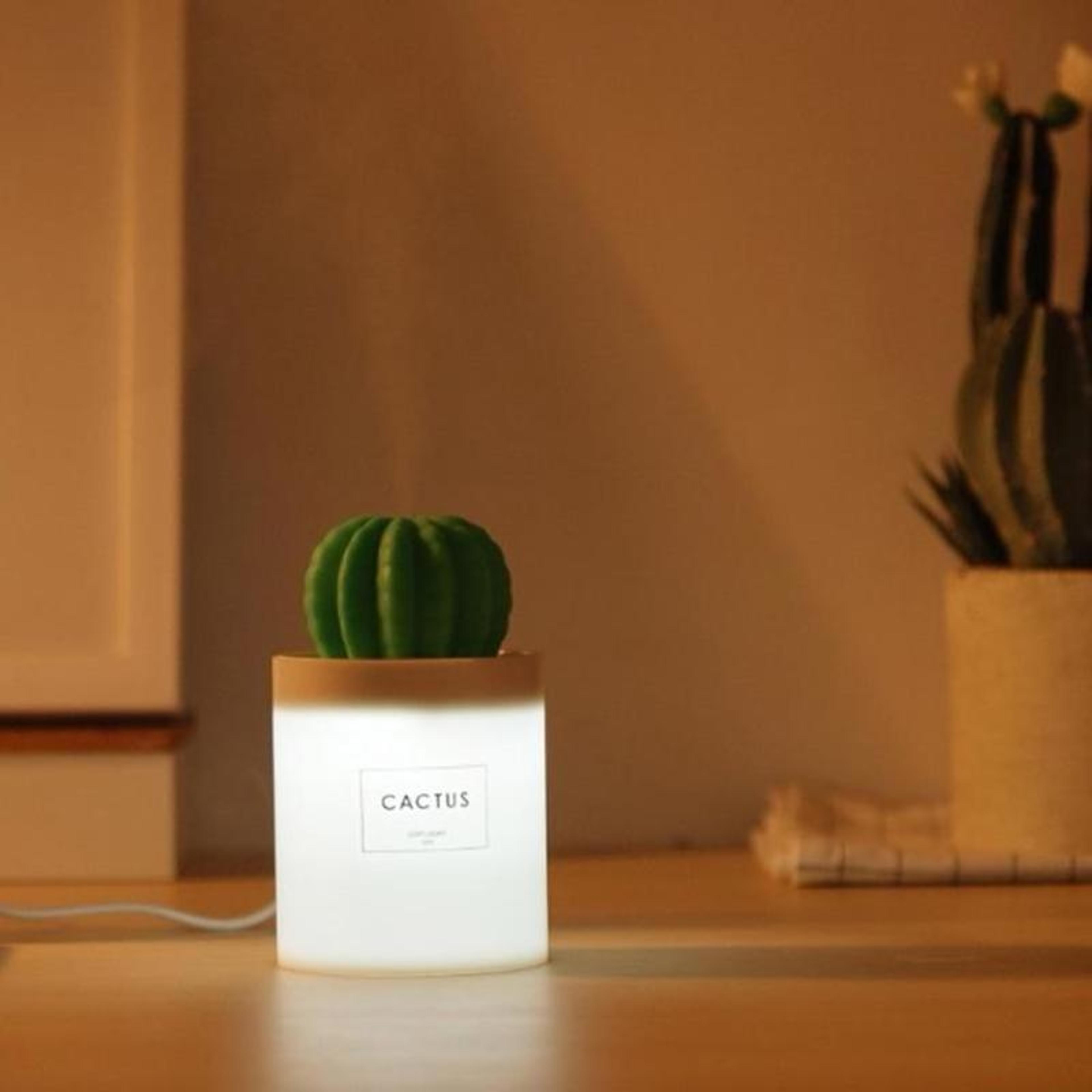 cactus humidifier lamp