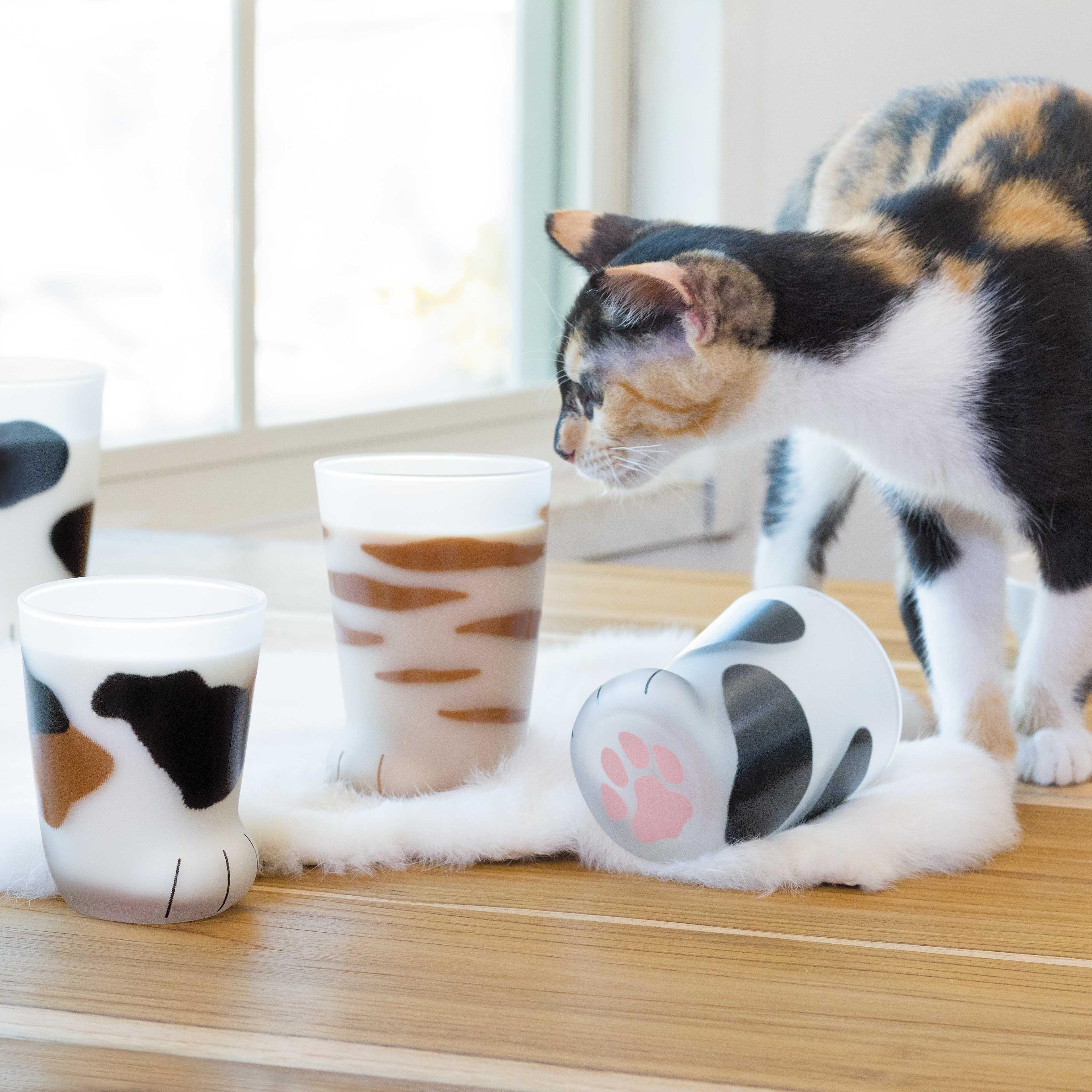 cat paw cup