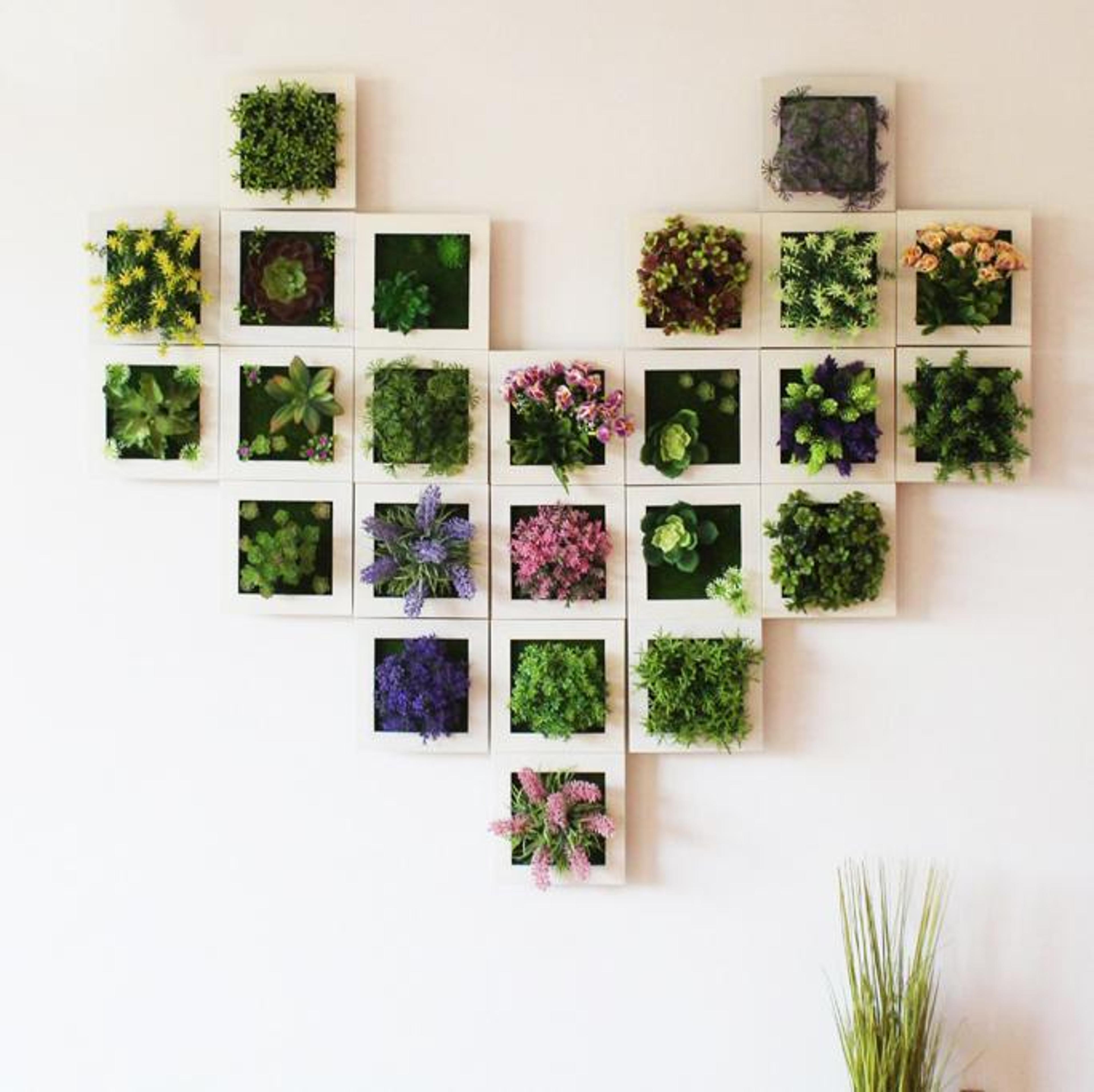 succulent wall hanger frame