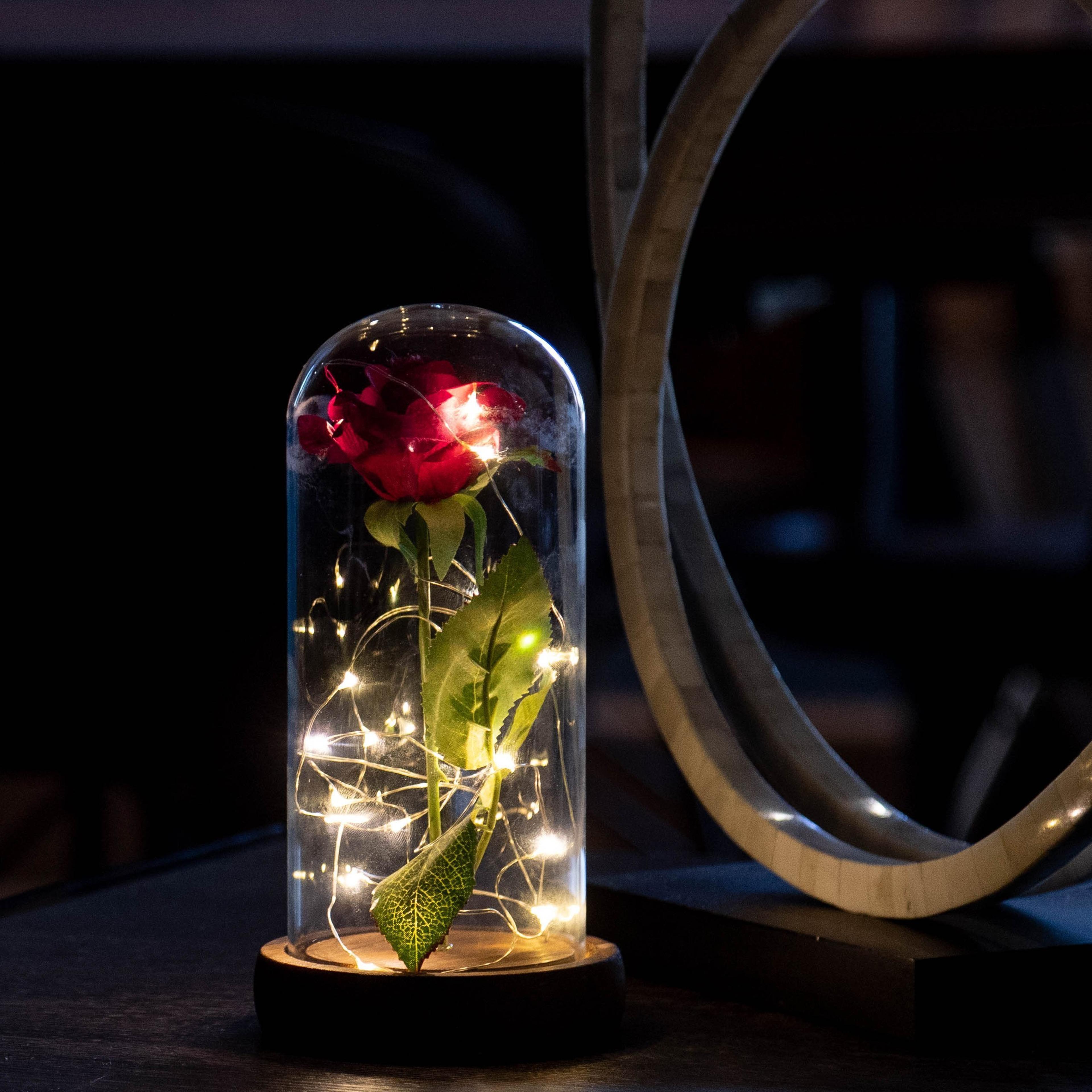 enchanted rose flower lamp