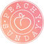 shop cover