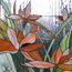 shop cover