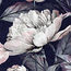shop cover