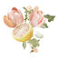shop cover