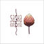 shop cover