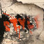 shop cover