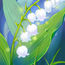 shop cover