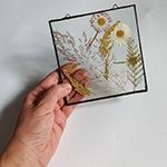 seller profile