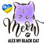 shop cover