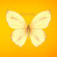 shop cover