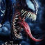 shop cover