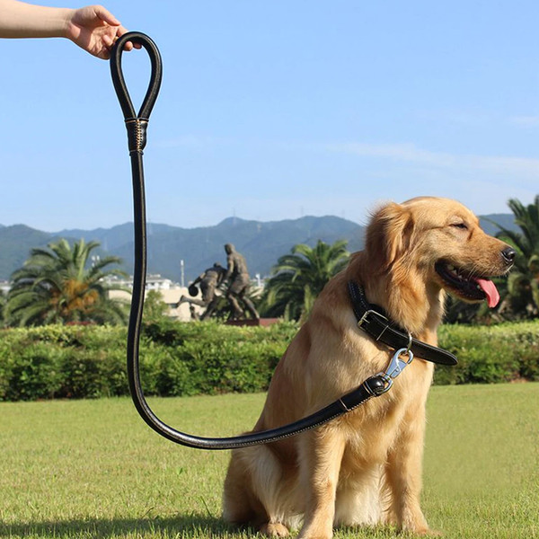 2in1rolledleatherdogcollarleash1