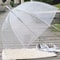 8-Rib Transparent Bubble Umbrella 4